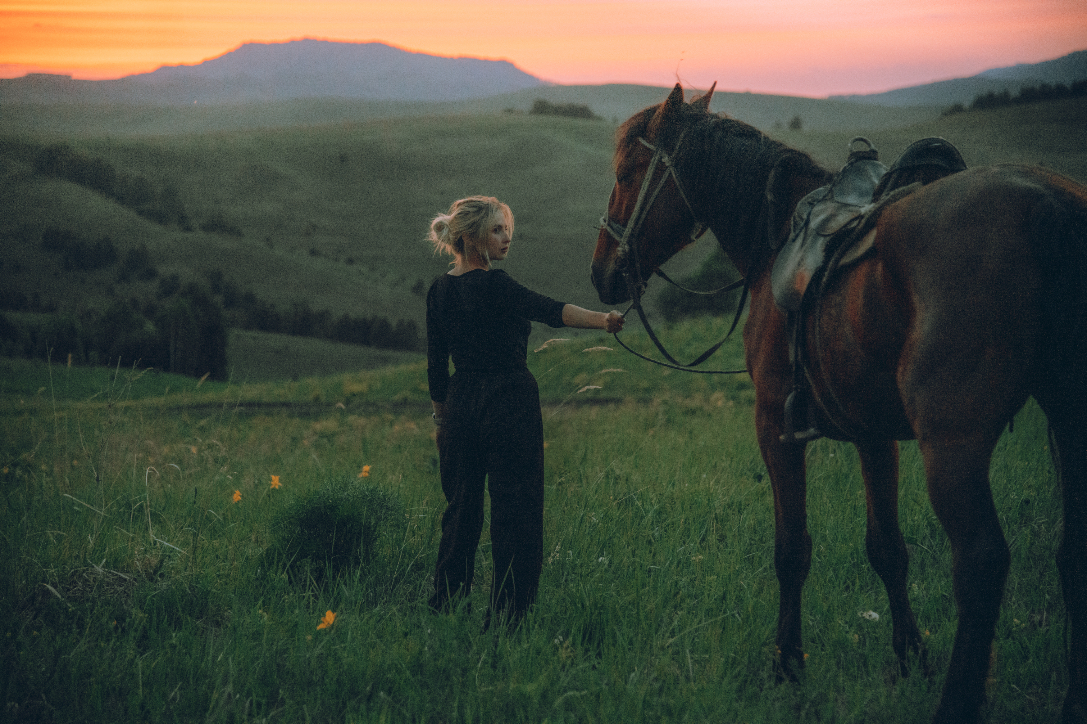 горы, зелень, лес, лошадь, девушка, закат, Алтай, Denis Koshkin