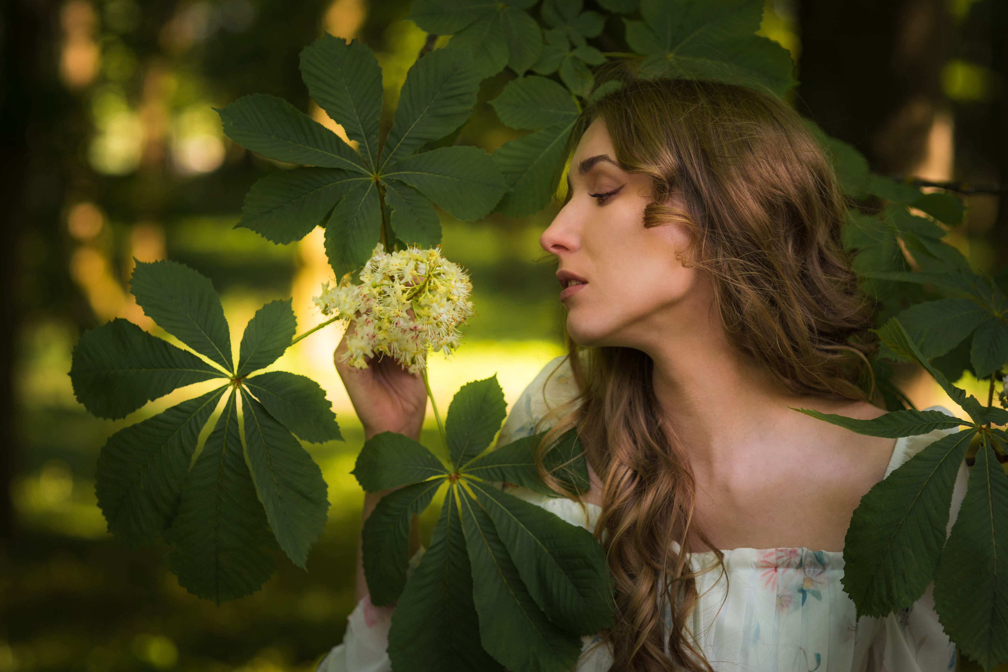 , Maciej Werbliński