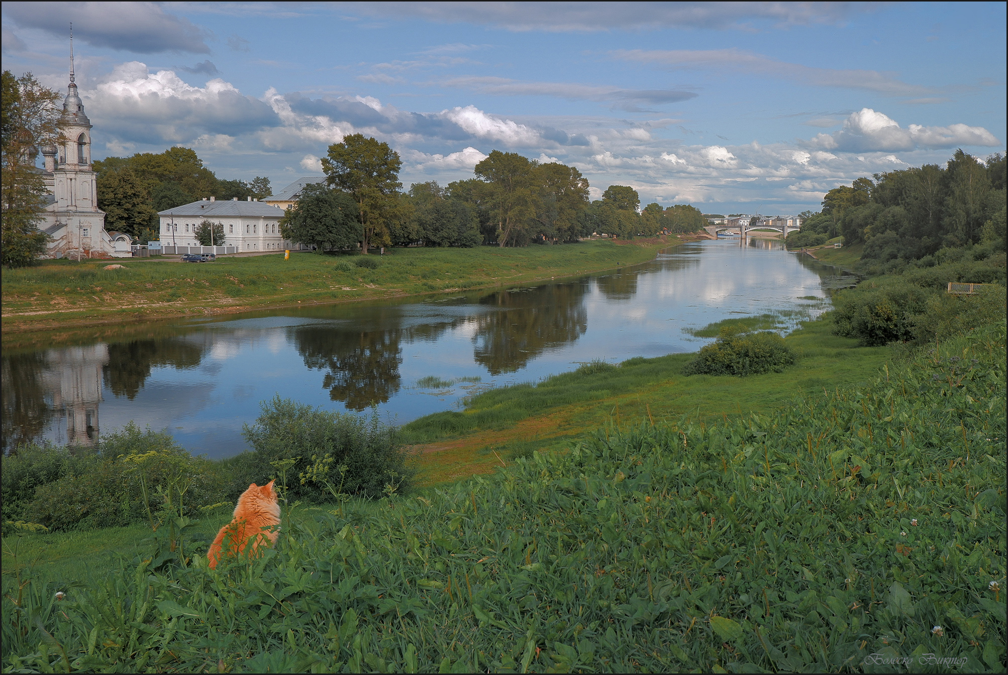, Болеско Виктор