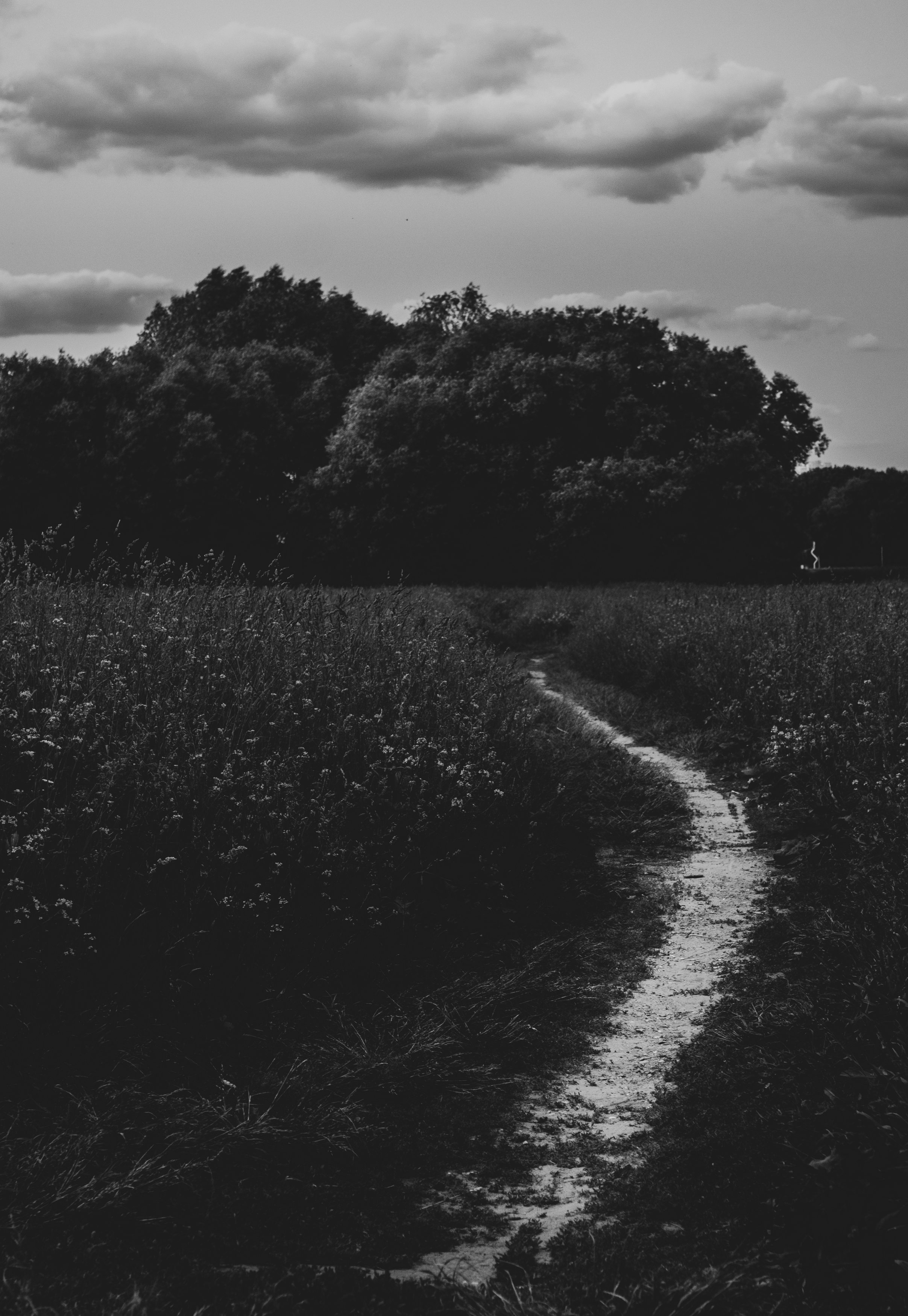 , Клюков Виталий