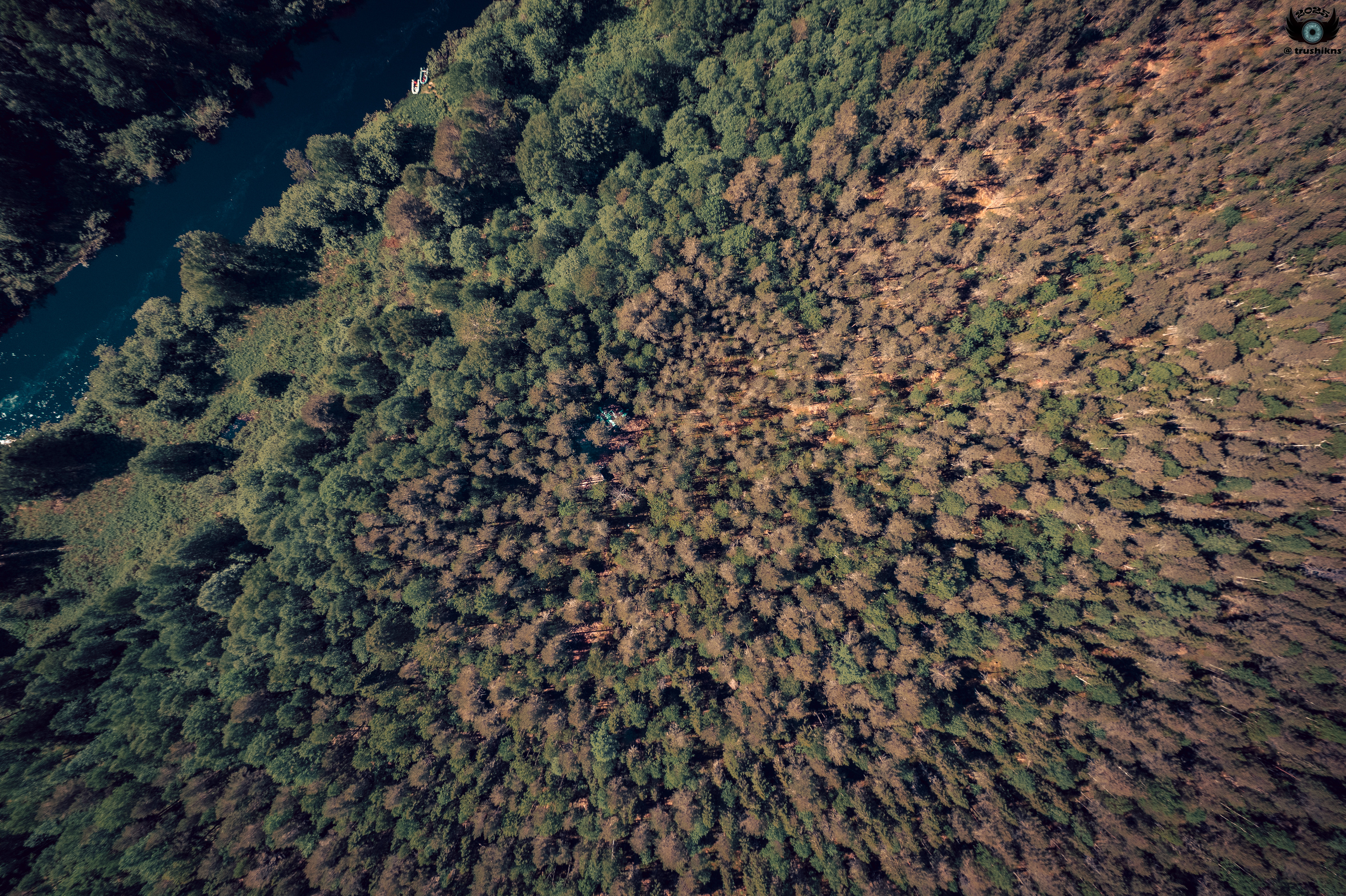 , Vladislav Trushkov