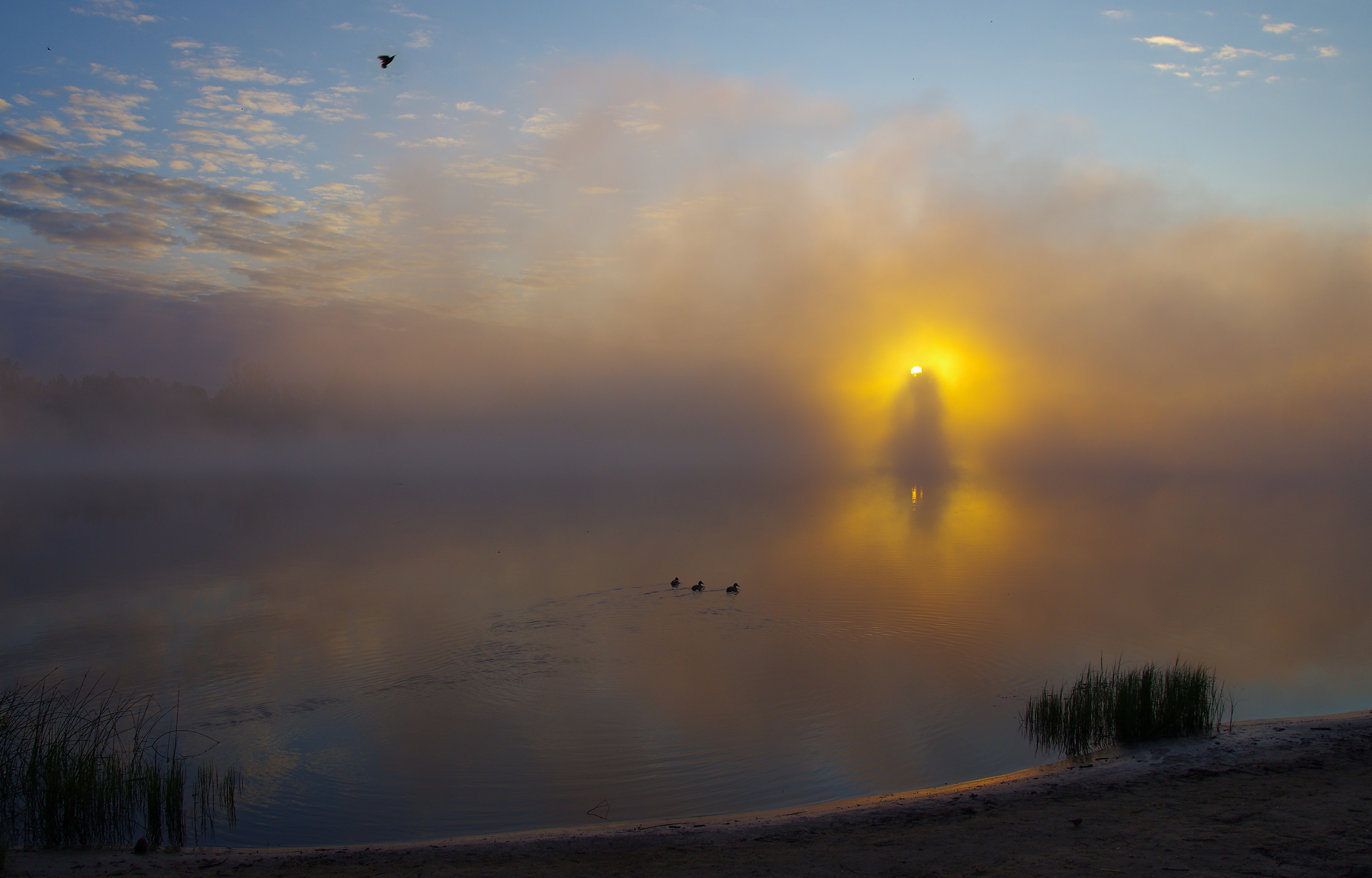 , Шляга Сергей