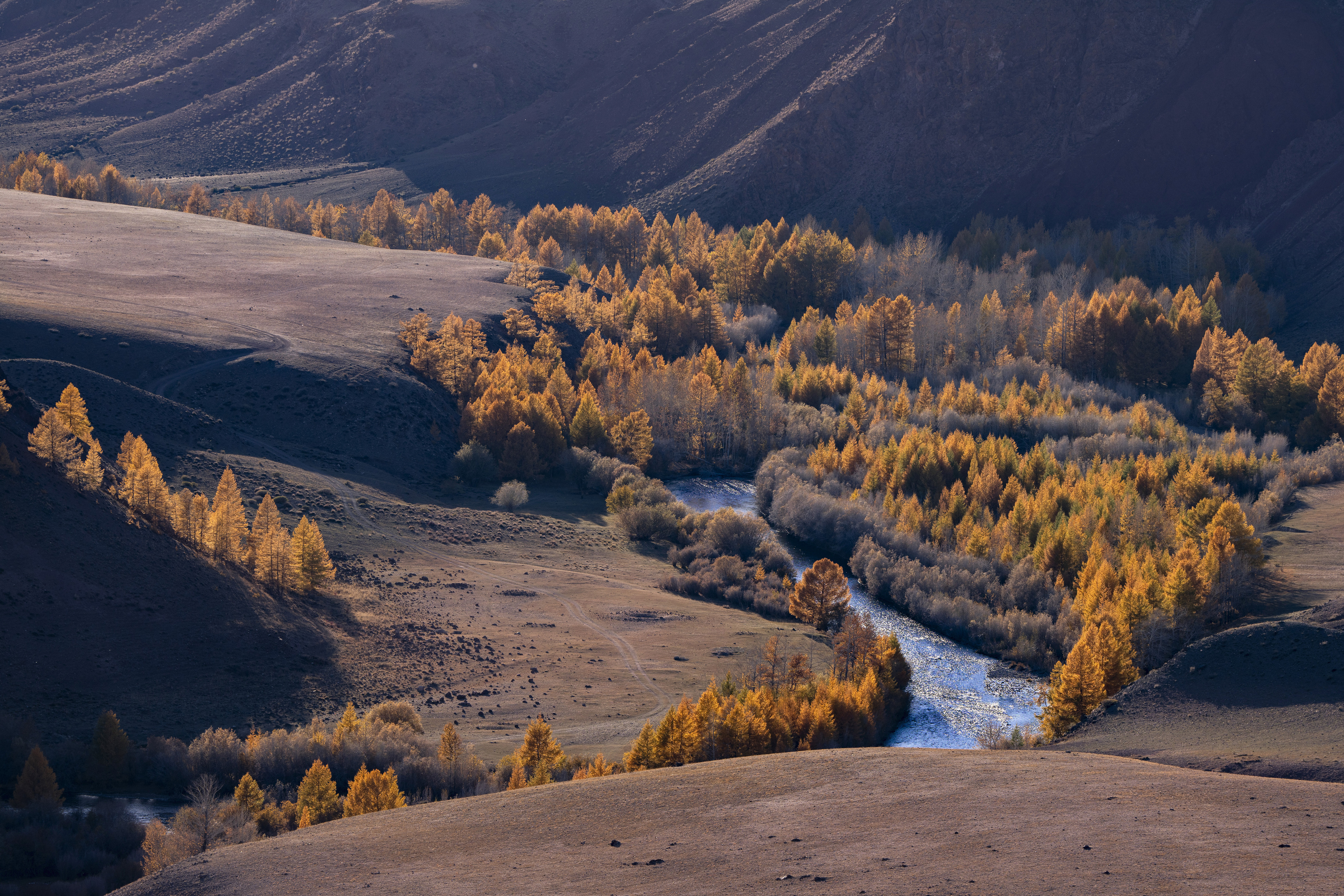 кокоря, алтай, осень, Дейнекина Галина