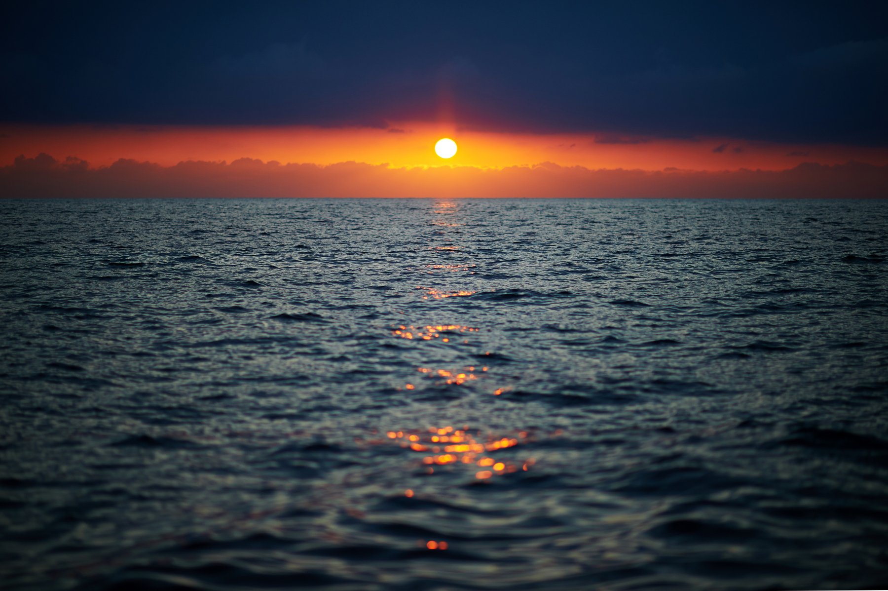 Море солнце, Григорий