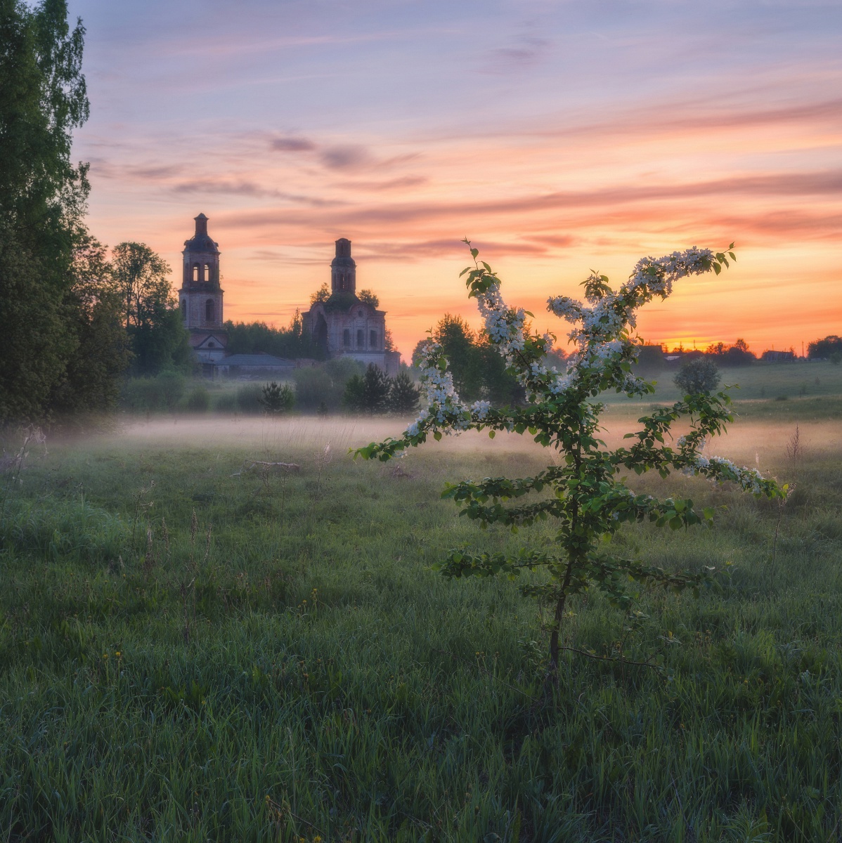, Михаил Устюжанин