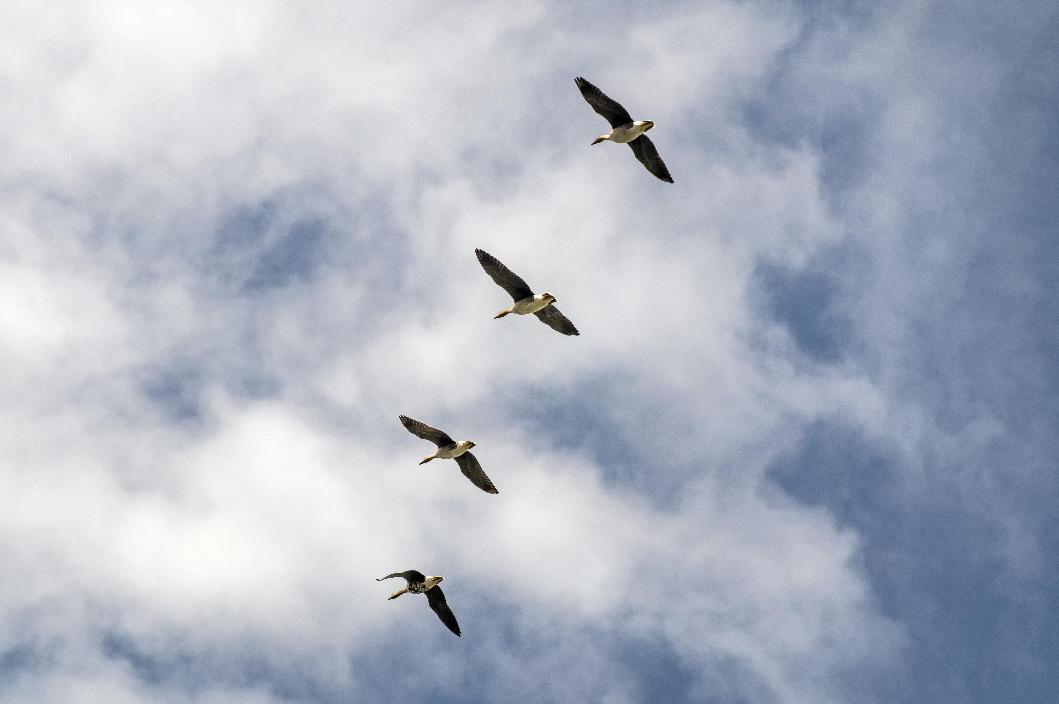 , Шитов Александр