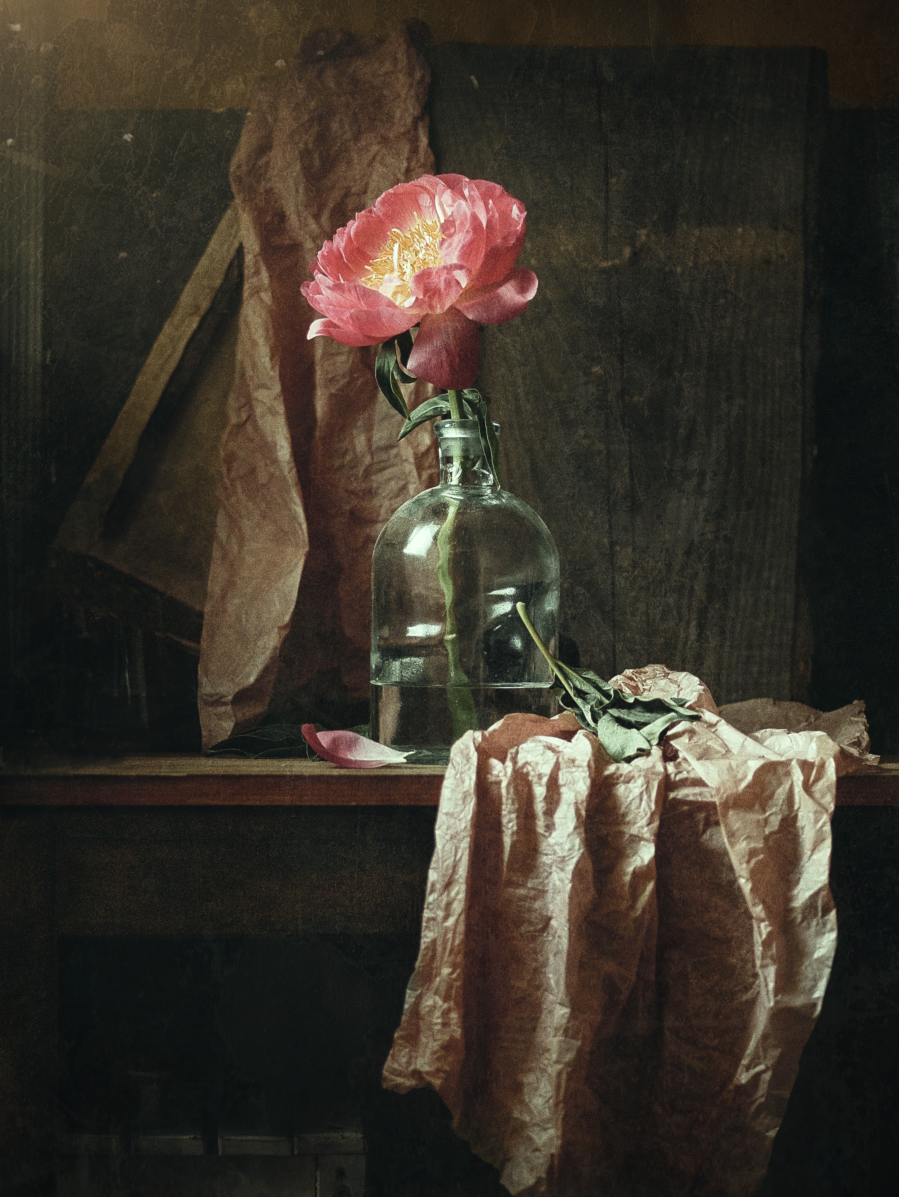 , Владимир Осауленко