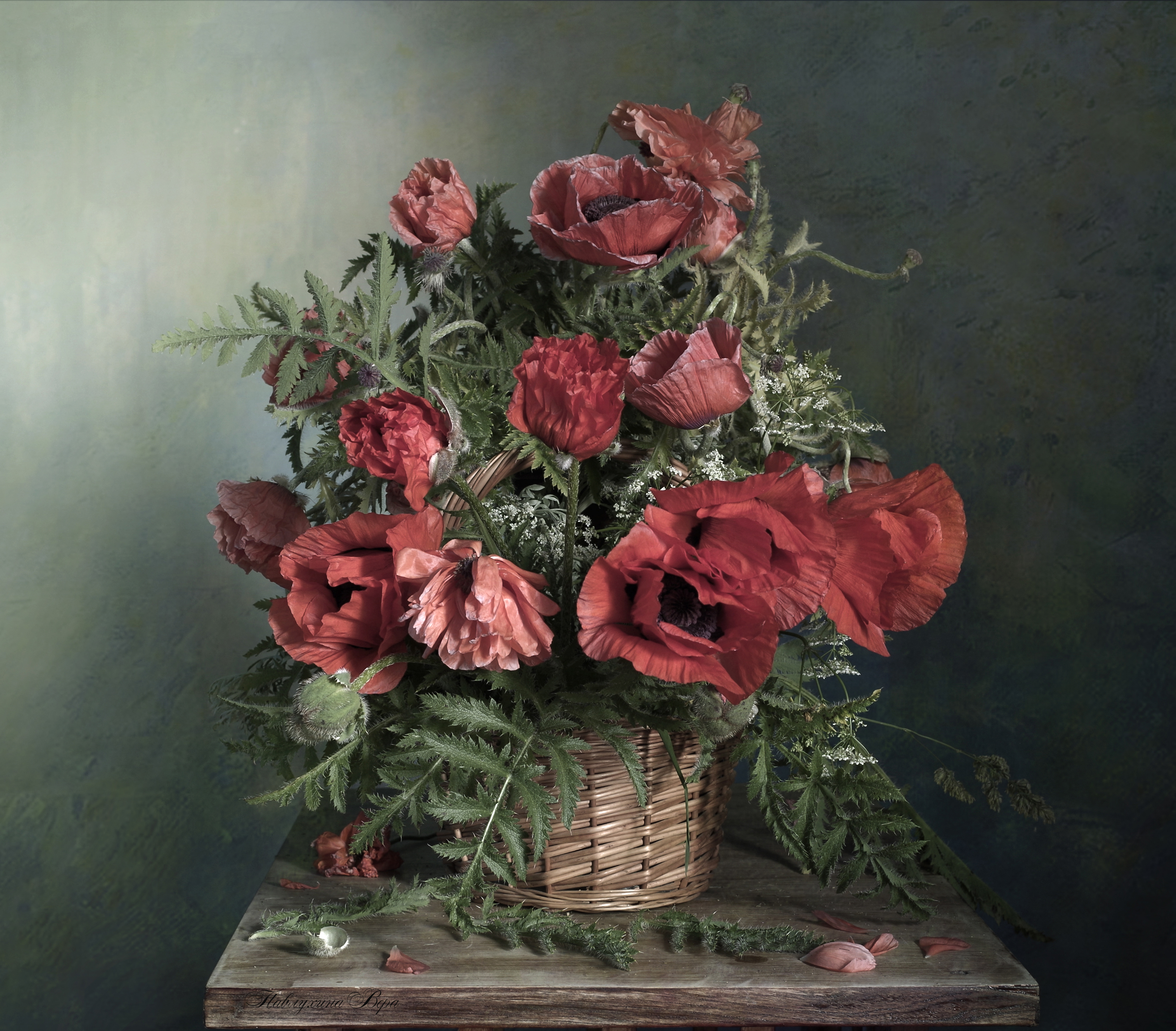 натюрморт,вера павлухина,лето,маки,красные,, Вера  Павлухина