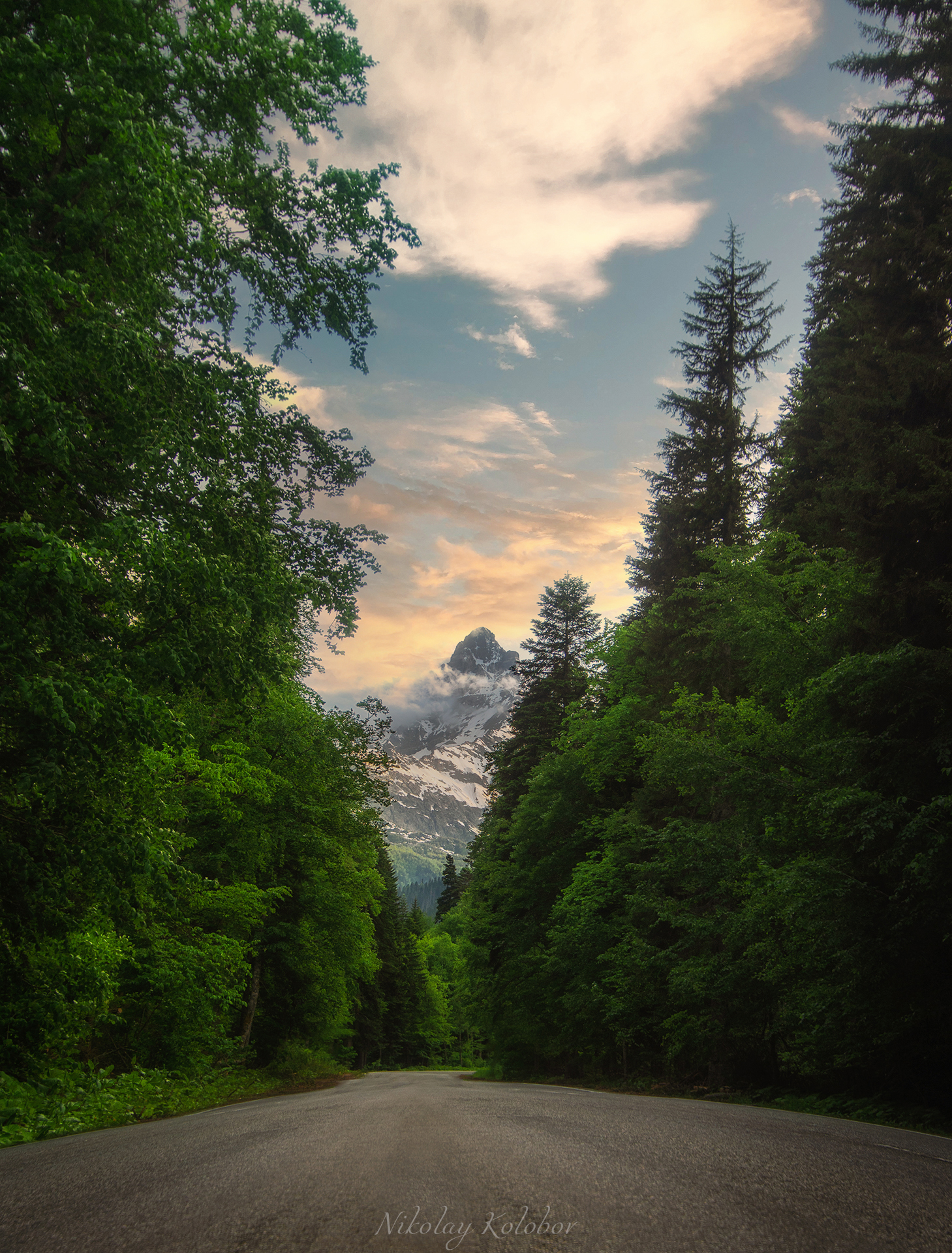 , Колобов Николай