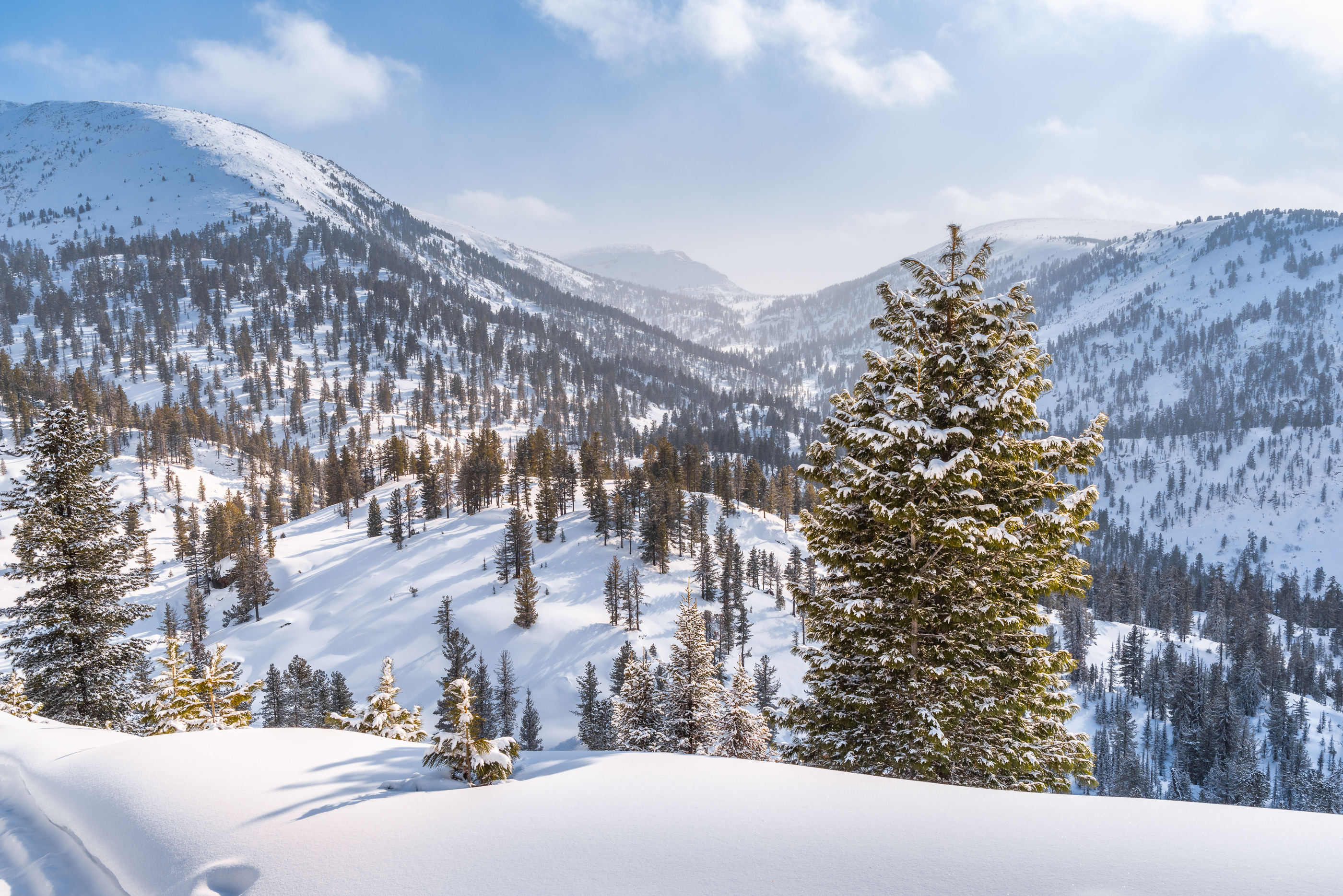 Зима, снег, Хамар-Дабан, Прибайкалье, закат, Evgeniy Khilkevitch