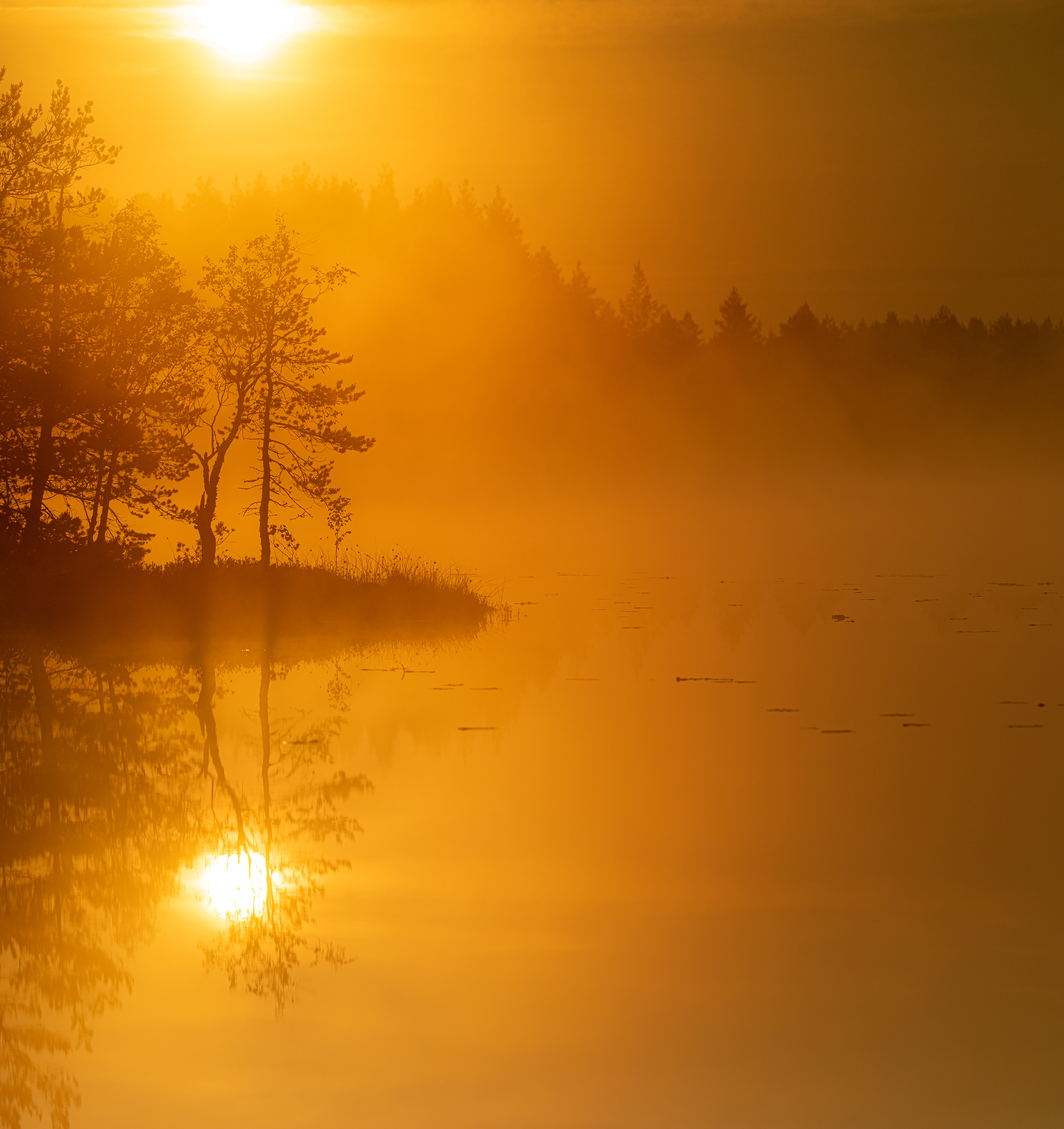 болото, карелия, туман, утро, рассвет, фототур, Павел Ващенков