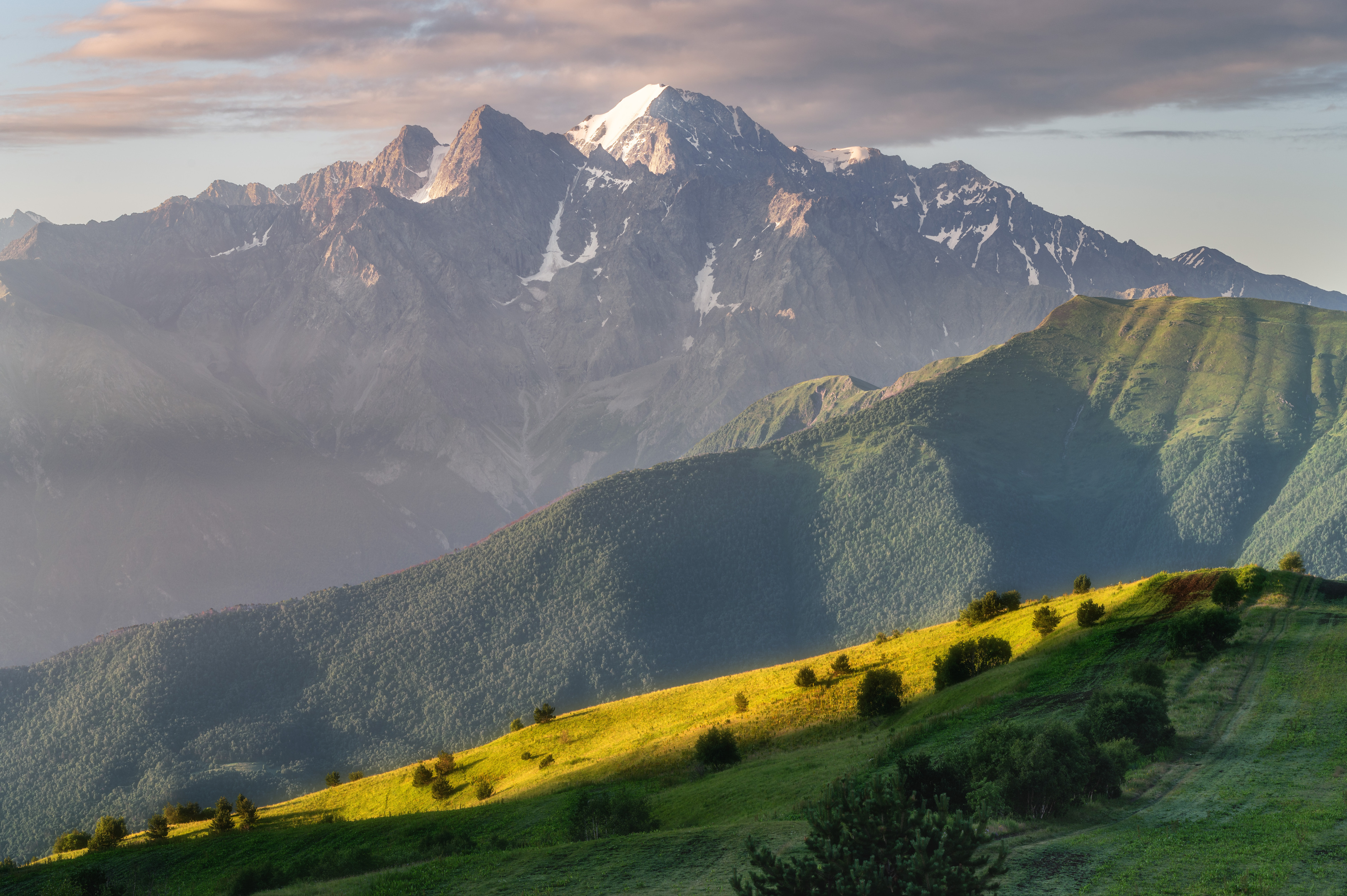 , Алексей Турчин