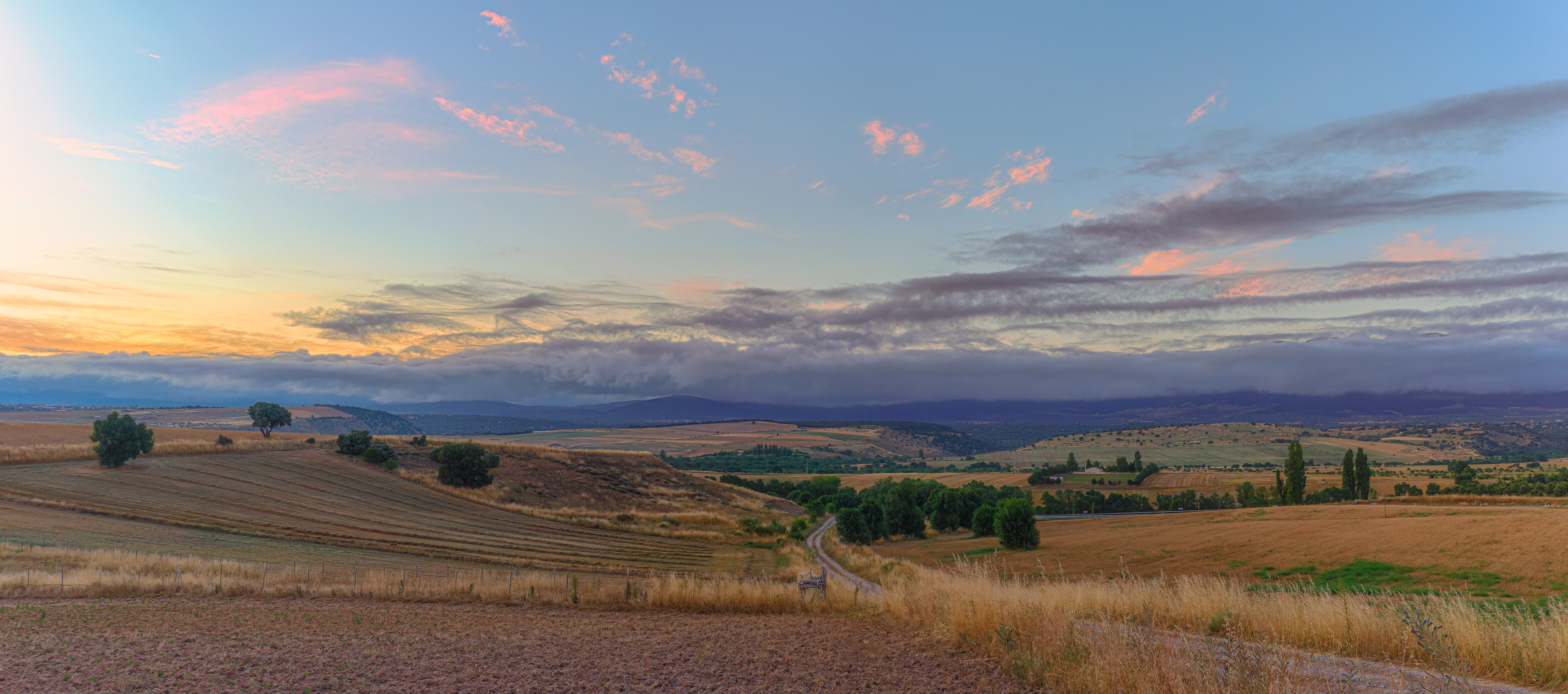 , Шварцман Евгений