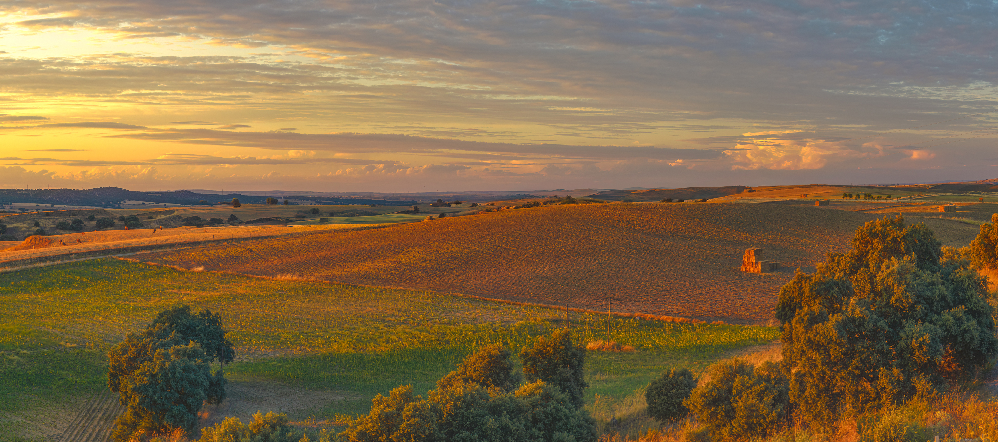 , Шварцман Евгений