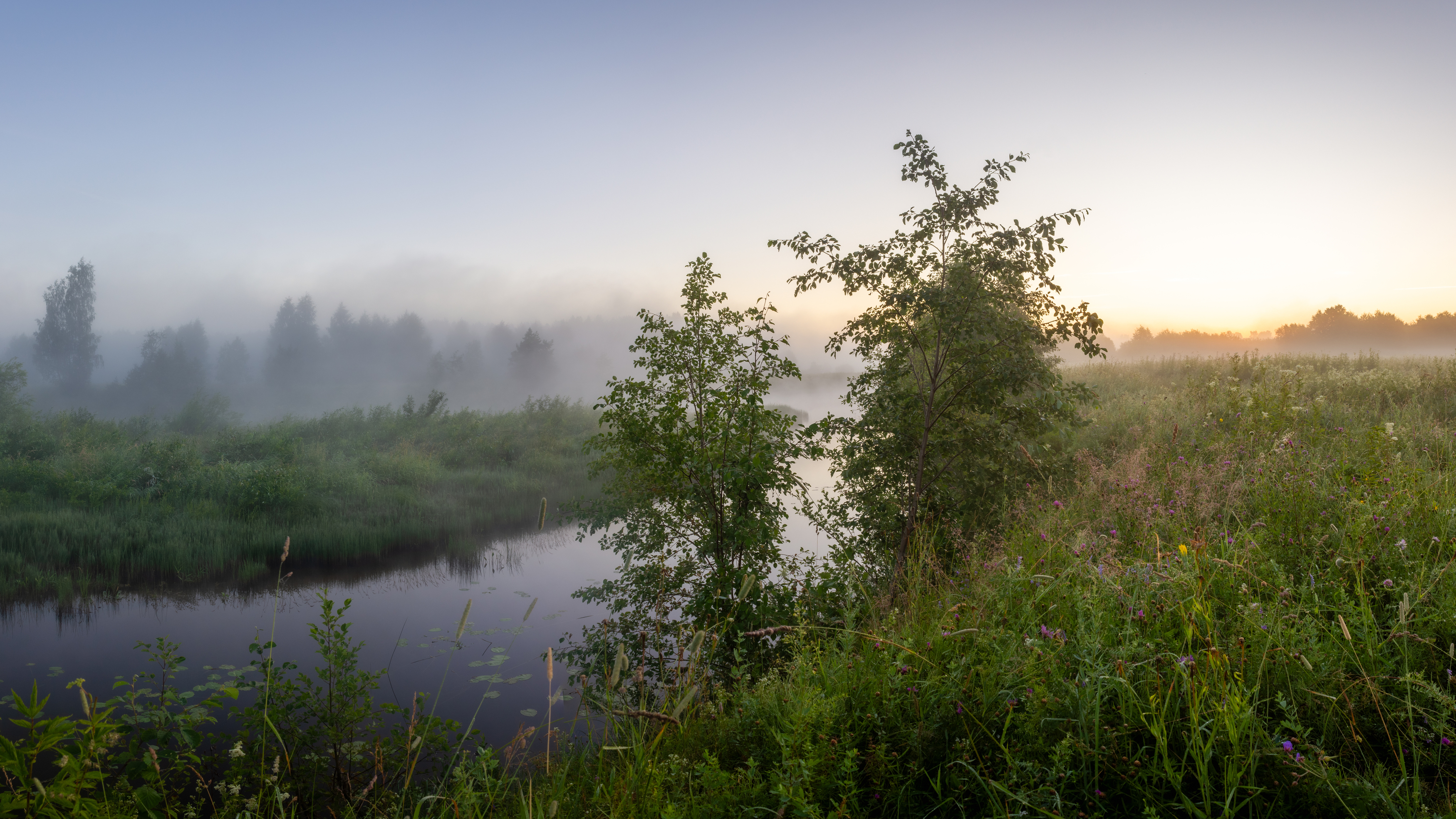 , Комарова Вера