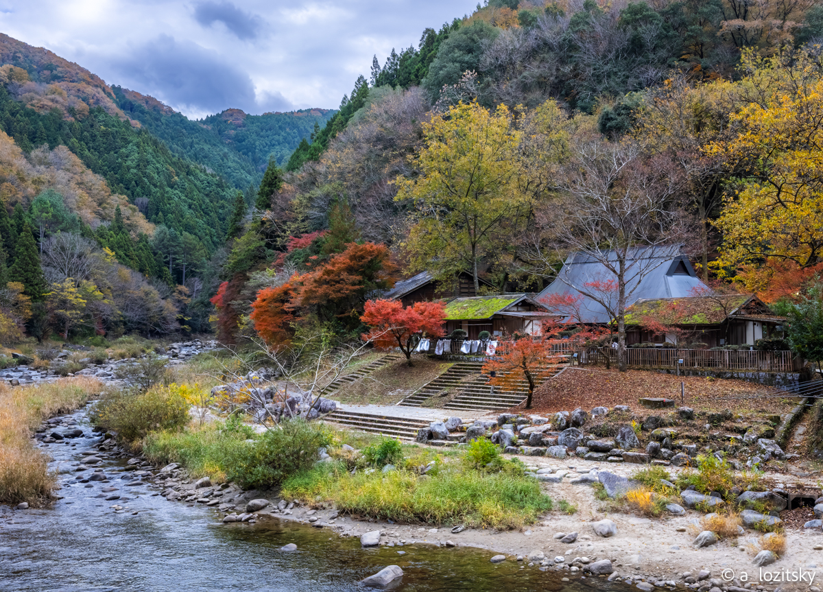 , Лозицкий Александр