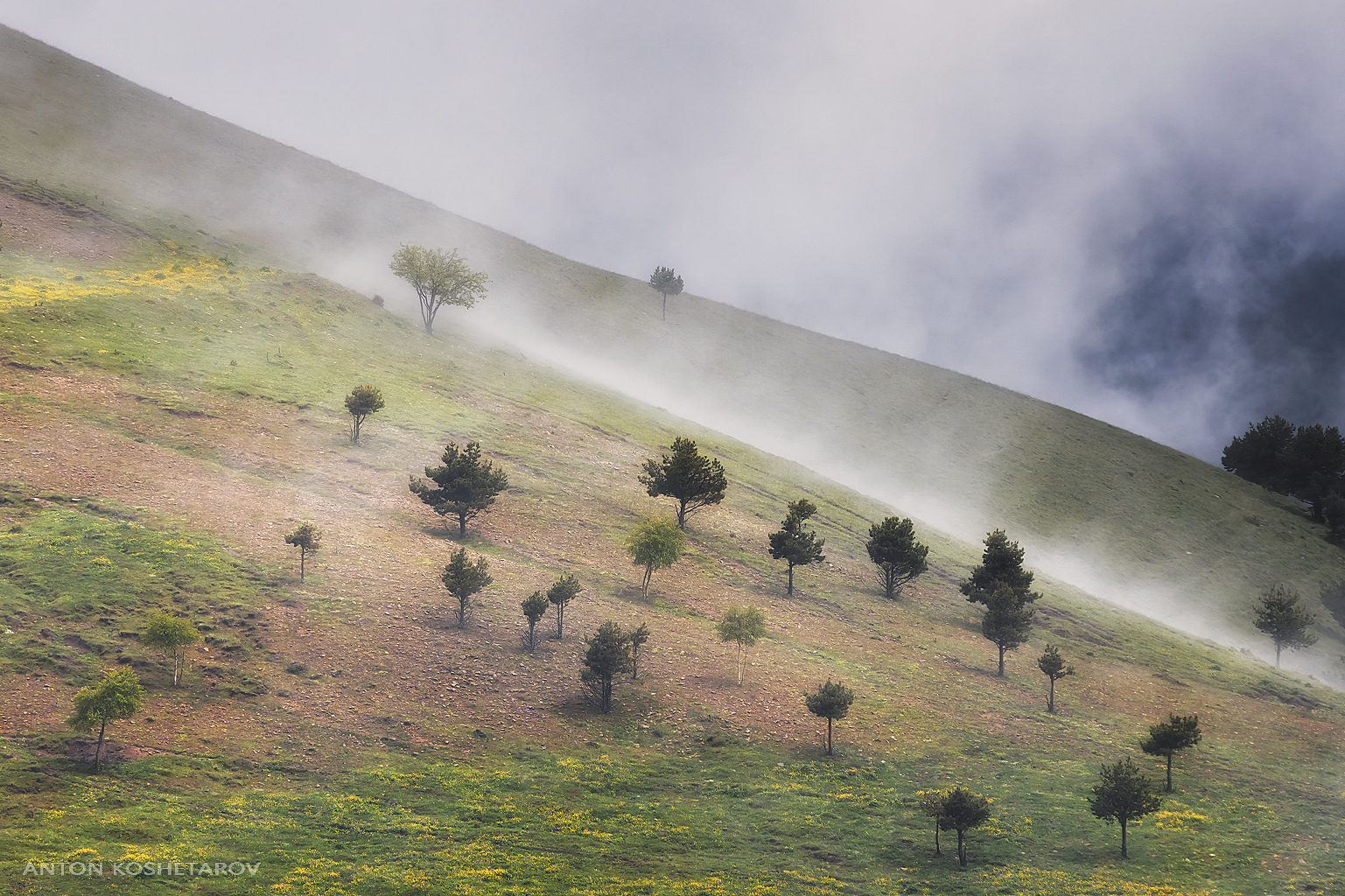, Антон Кошетаров