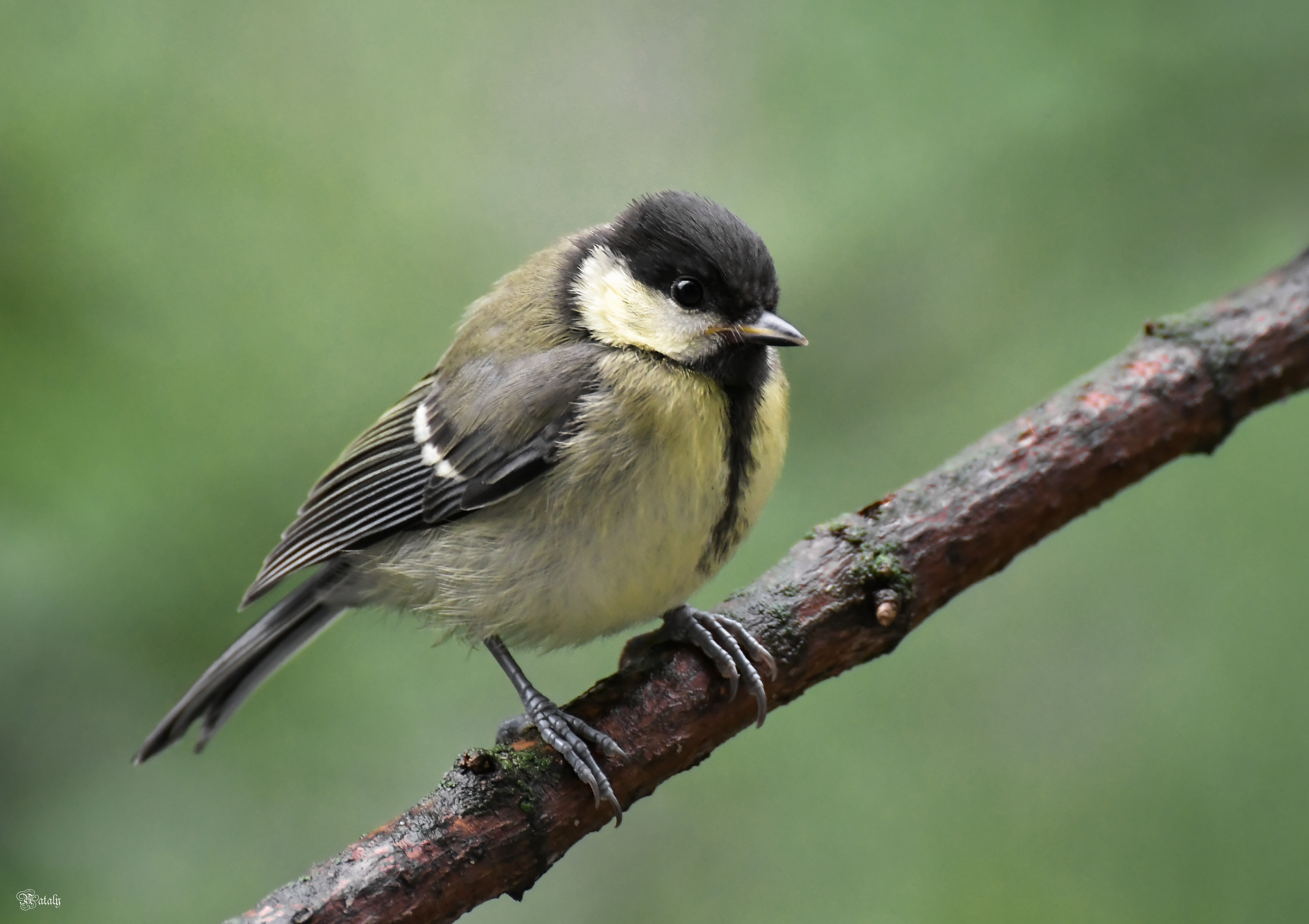 , Наталья Екимова