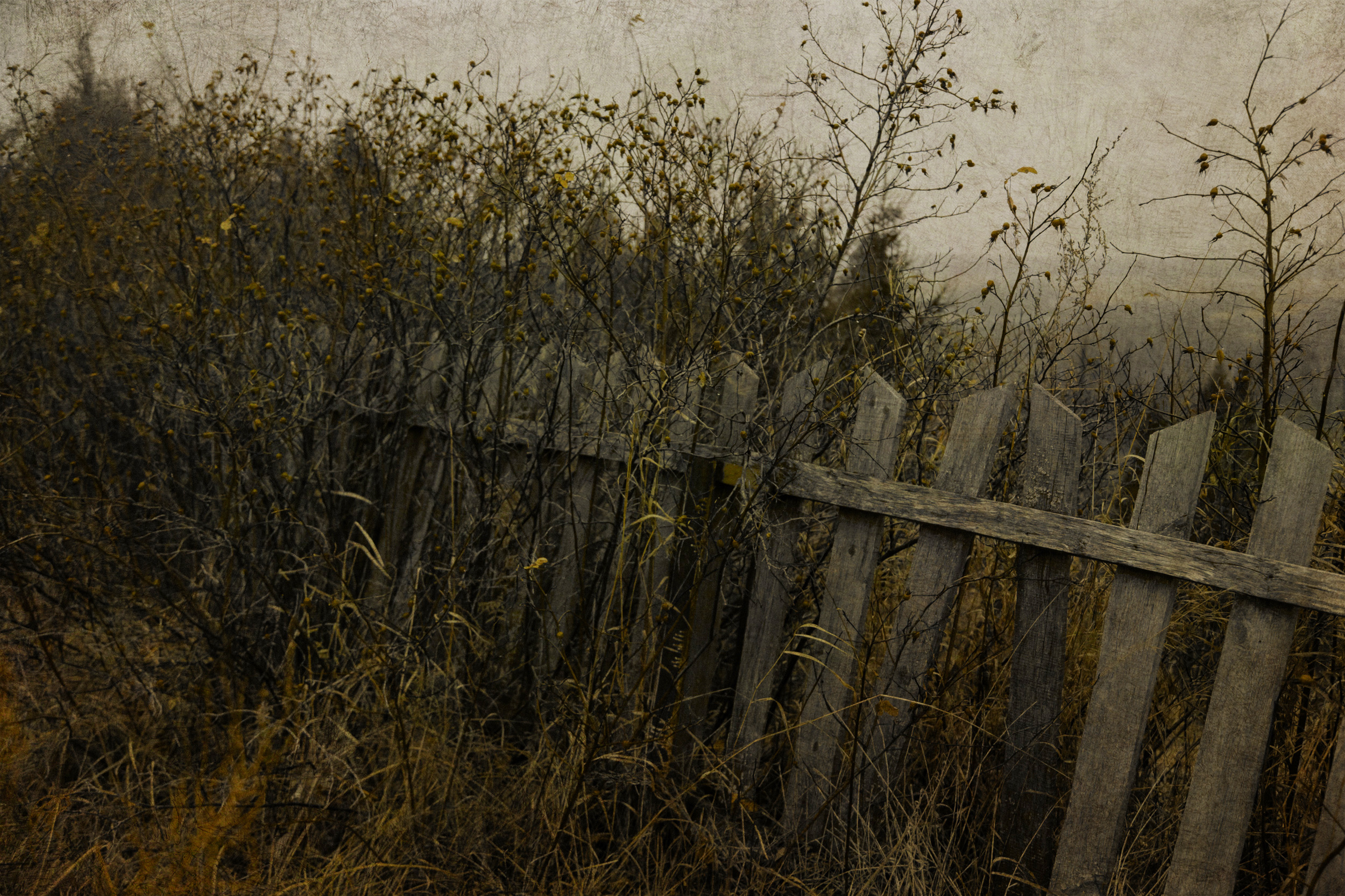 , Сагдиева Эльвира