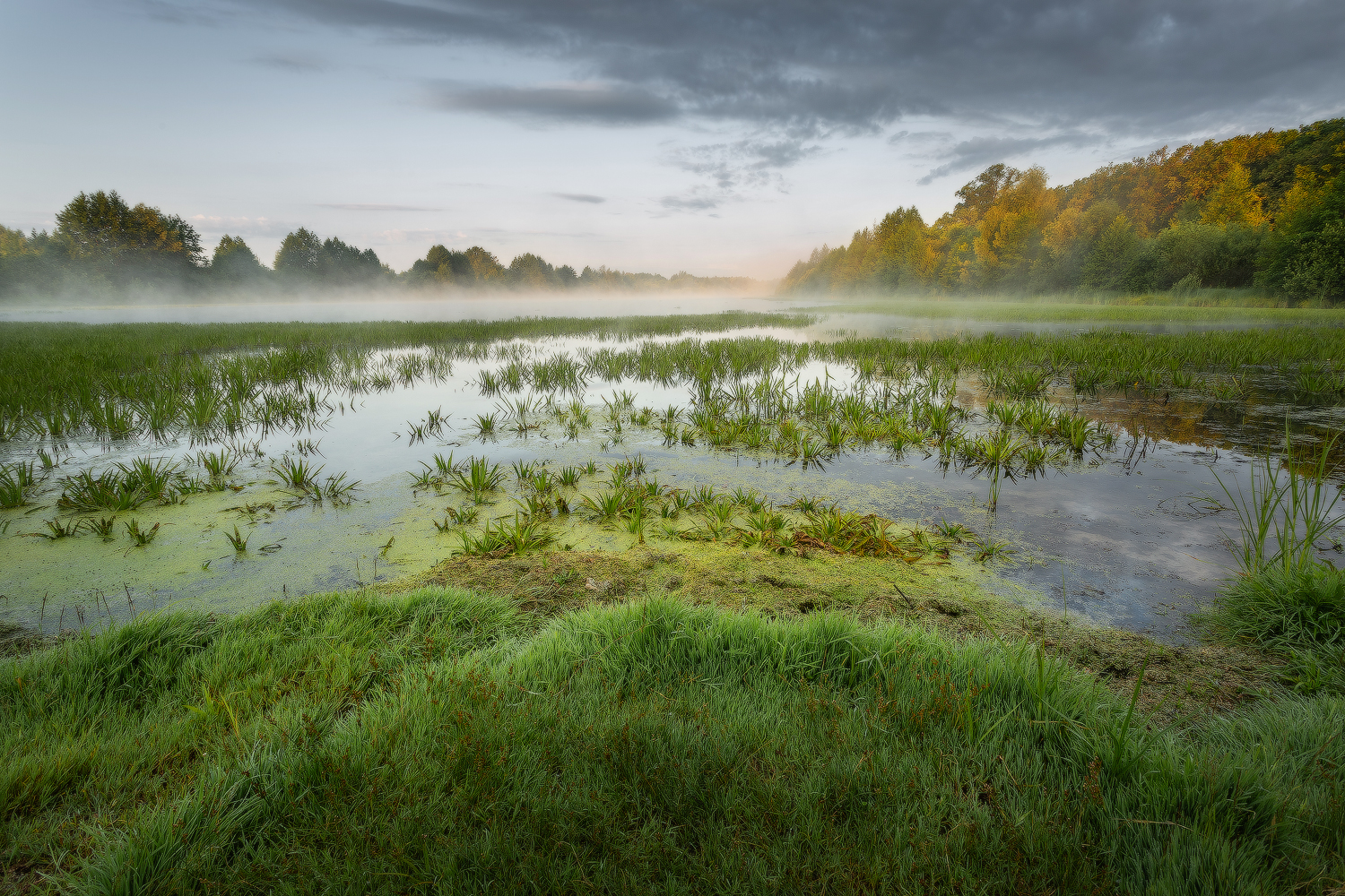 утро лето озеро берег туман солнце, Михаил Корнилов