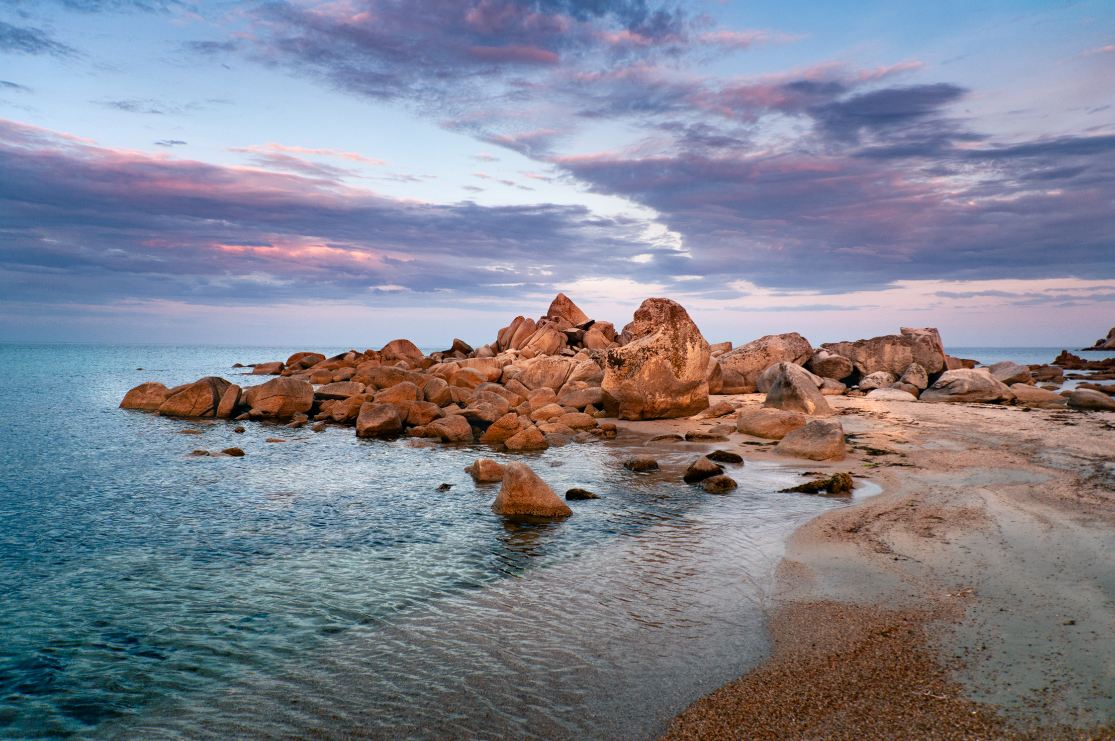 , Васильева Дарья