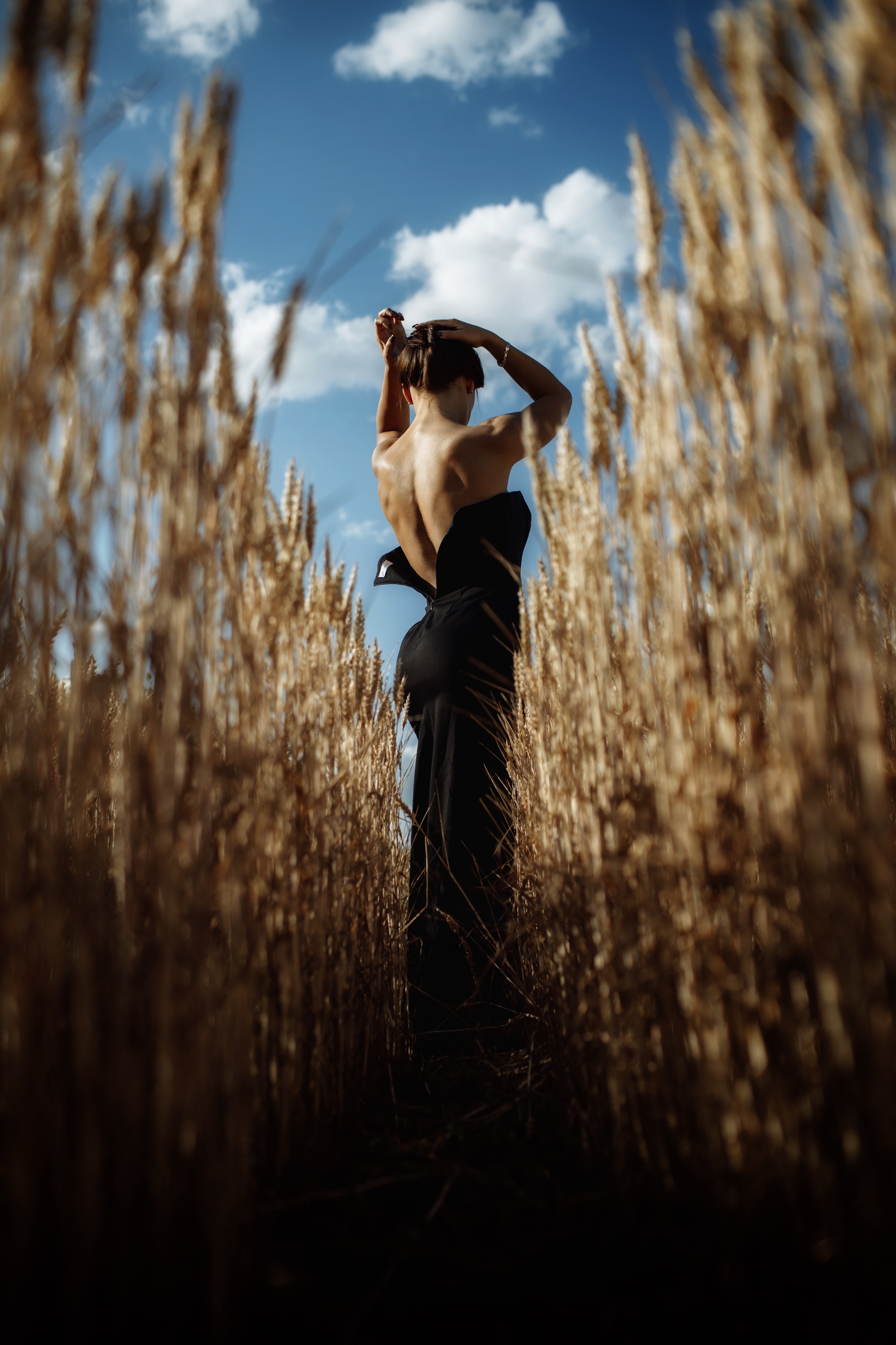 , Дмитрий Арабаджи