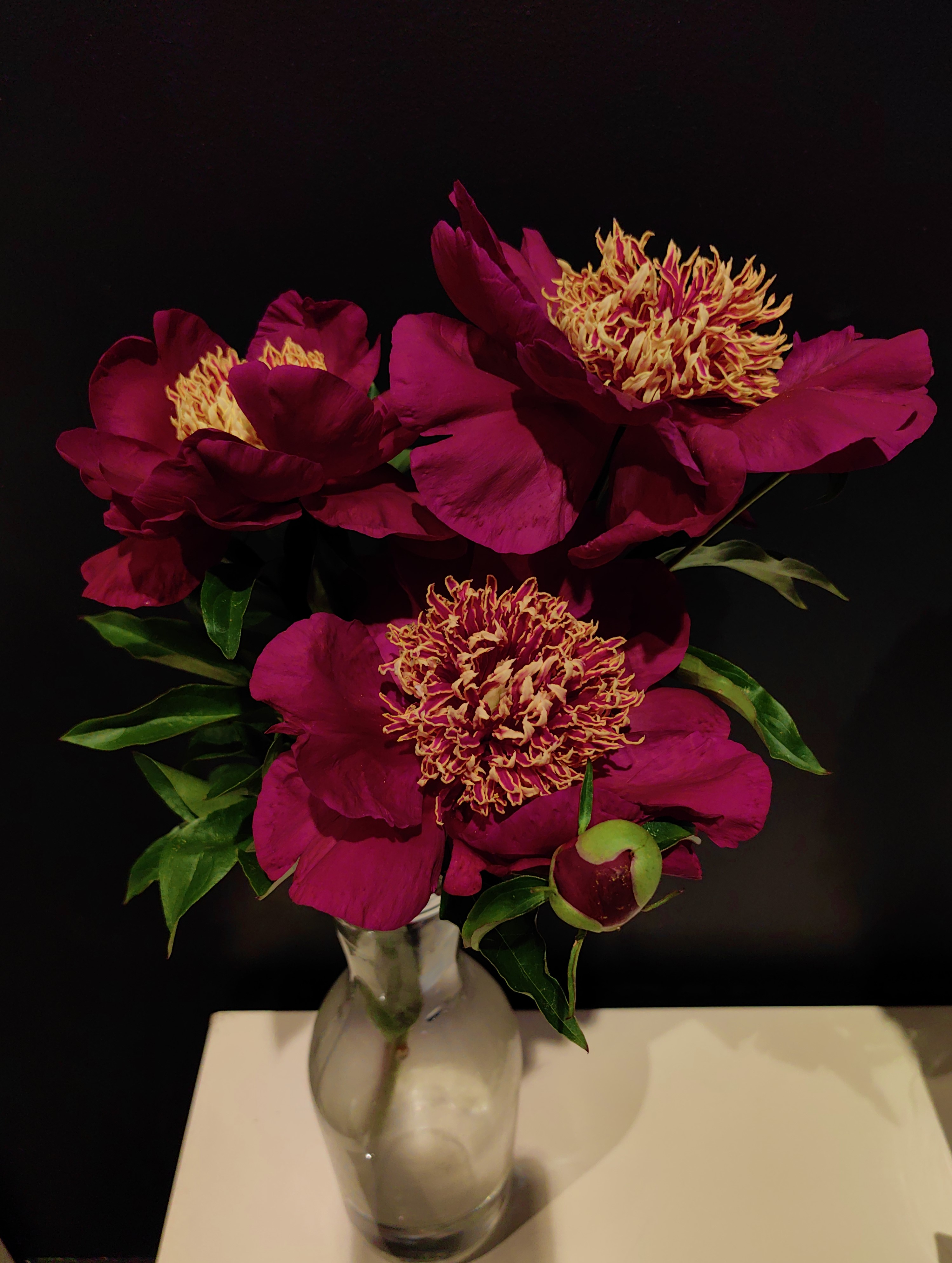 пионы,букет,цветы,, Козлова Галина