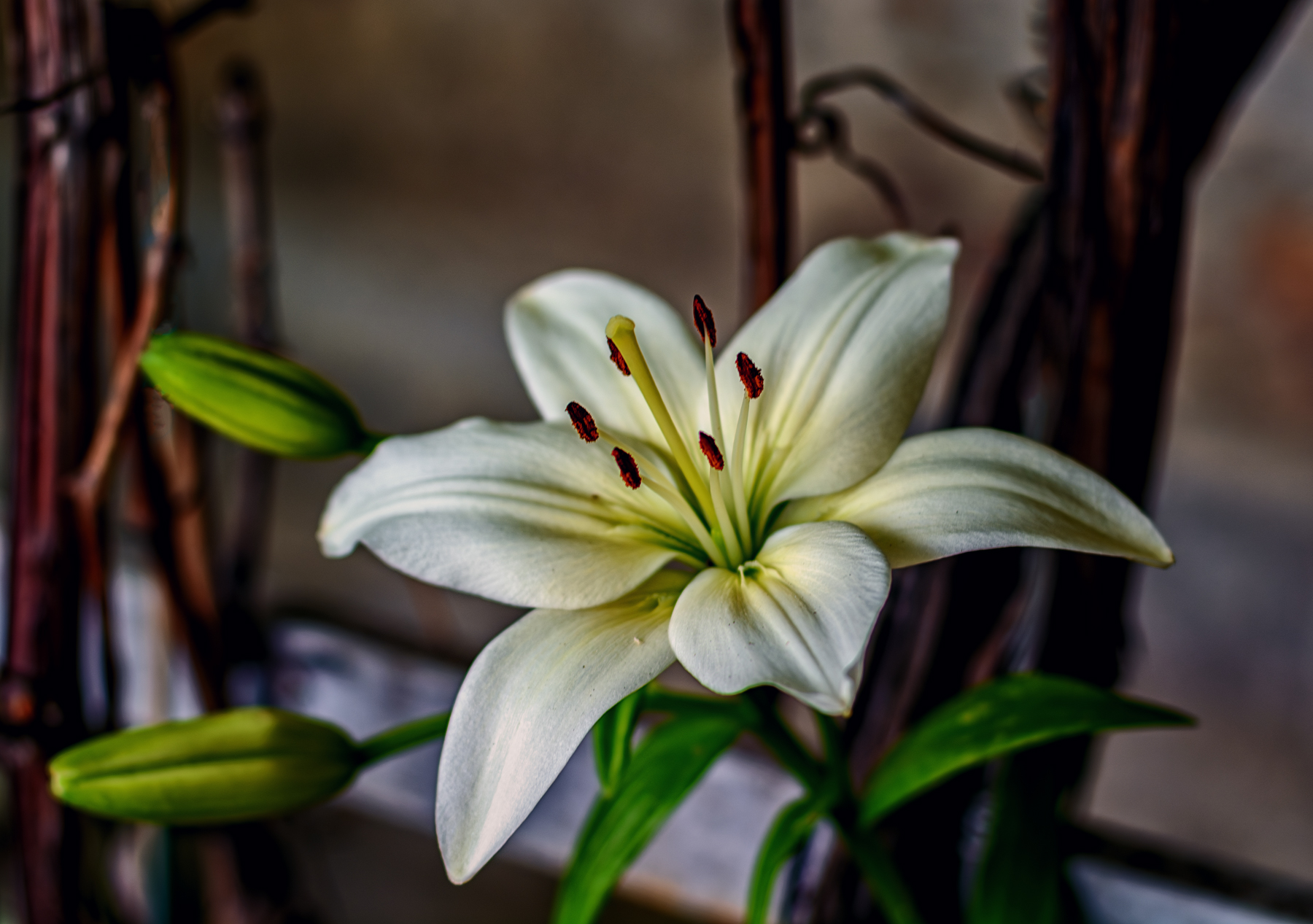 , Владимир Гамаюнов