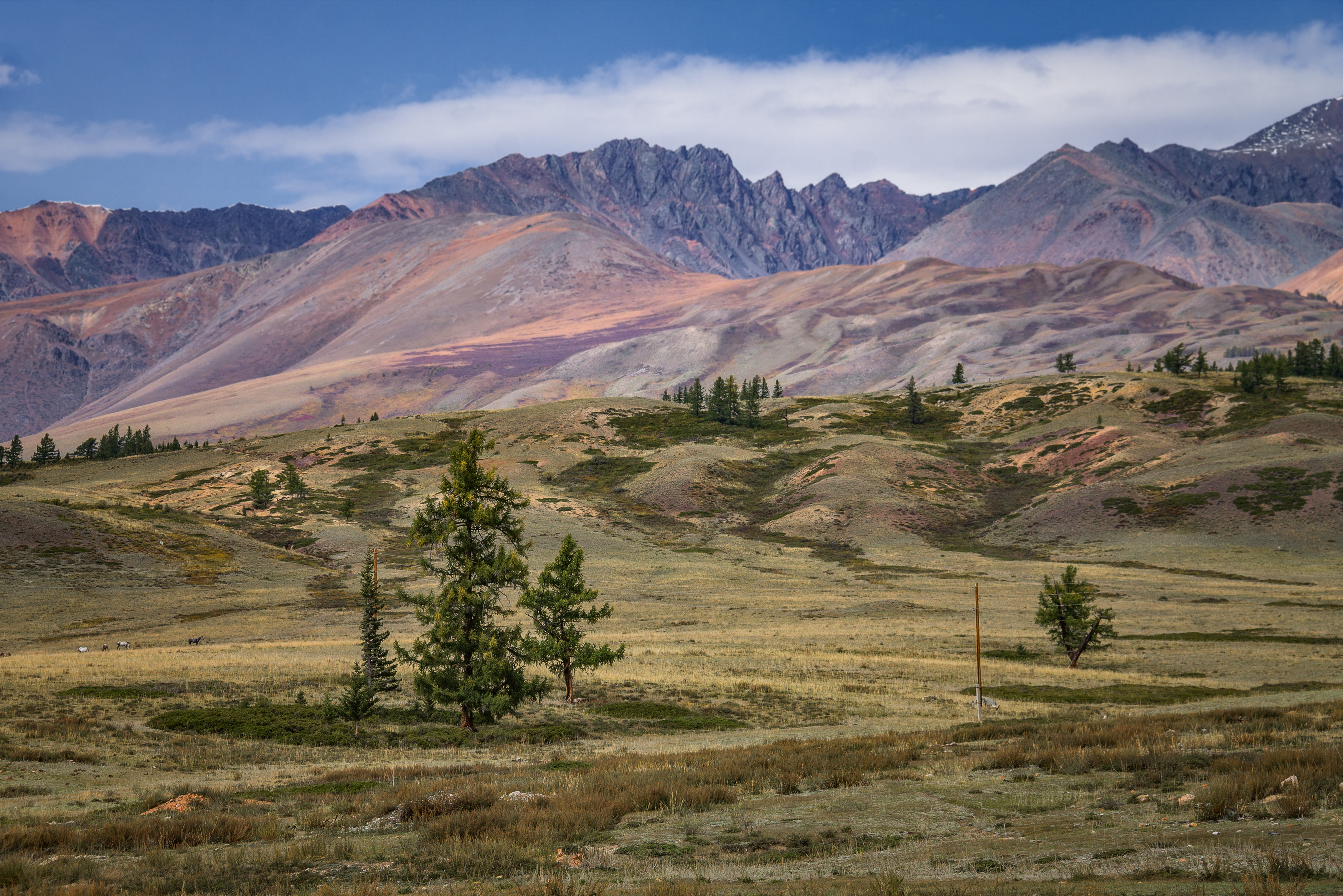 , Юдинских Марина