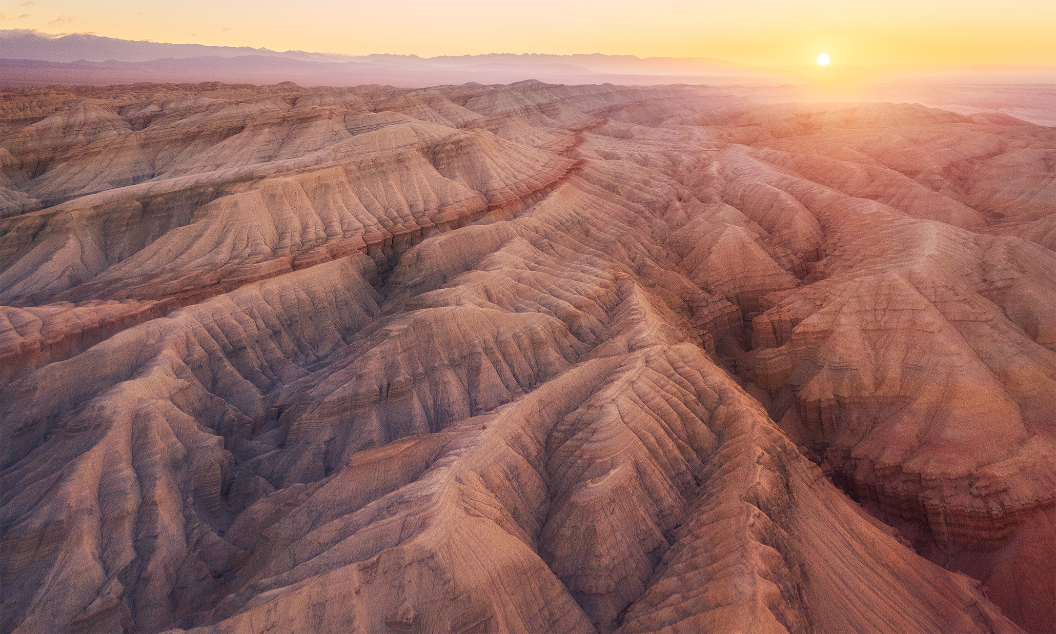 , Андрей Родионов