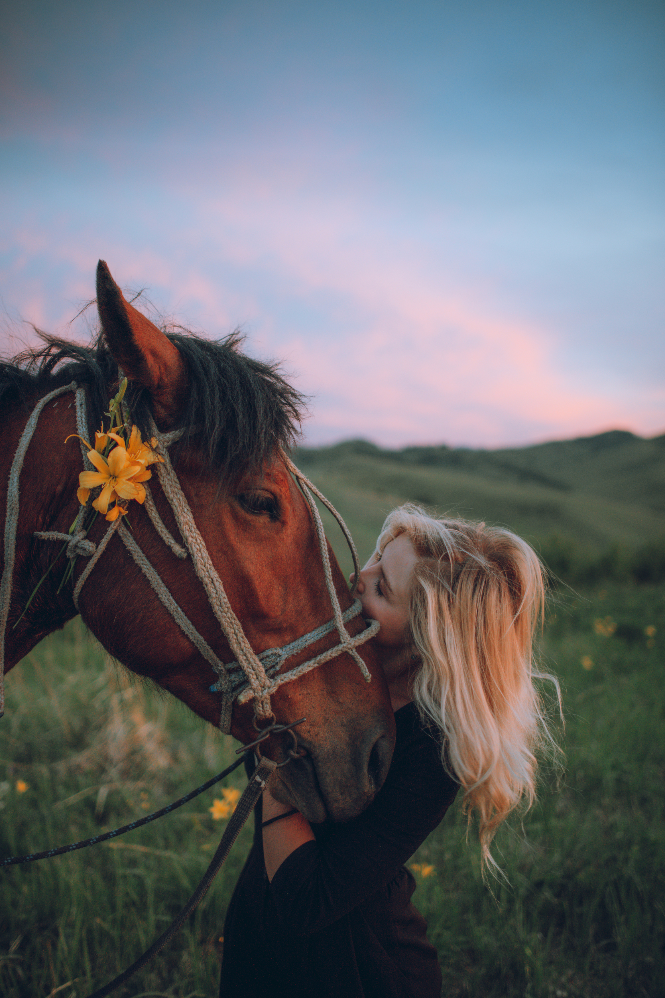 Лошадь, девушка, зелень, закат, цветок, алтай, Denis Koshkin
