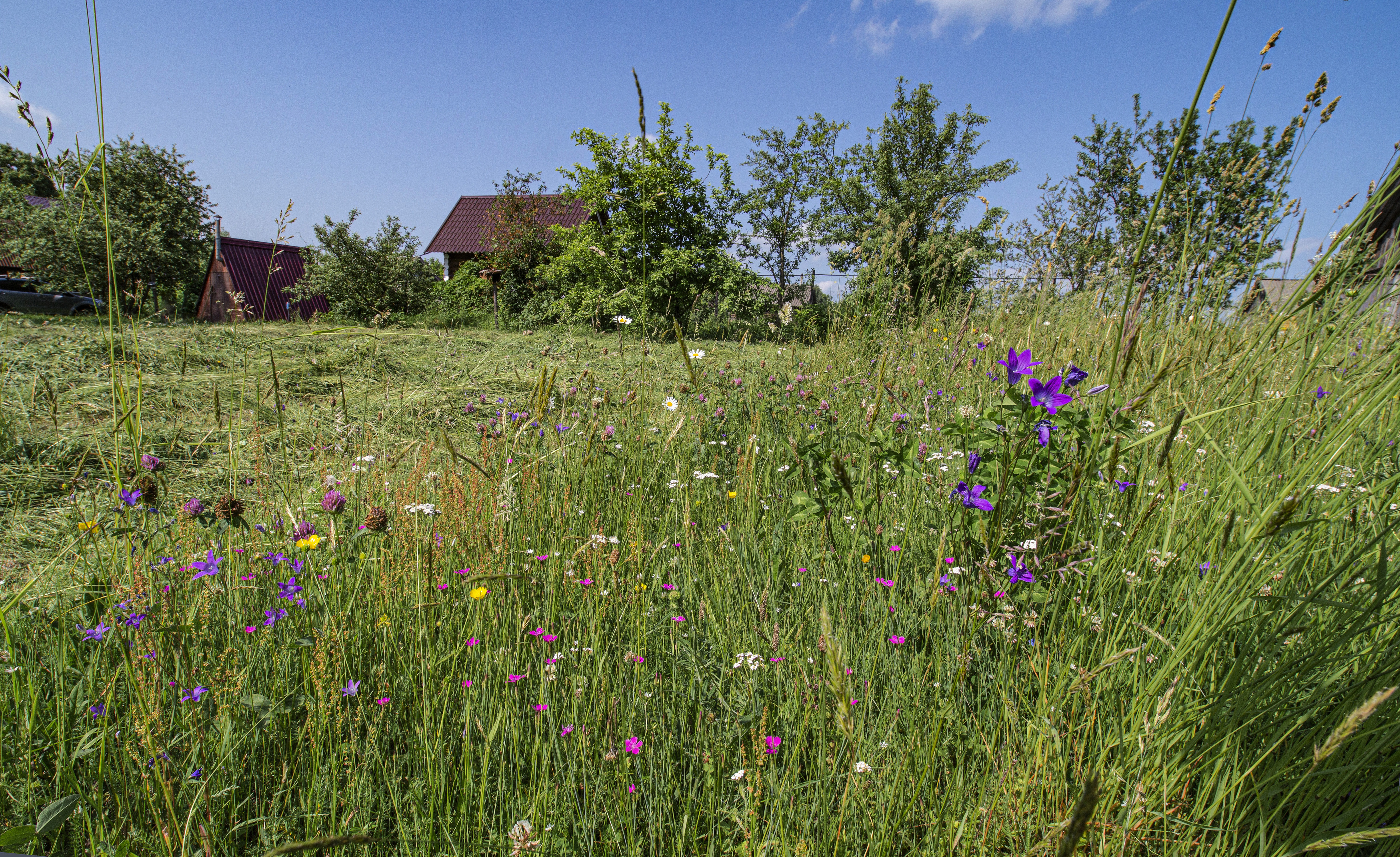 , Шитов Александр