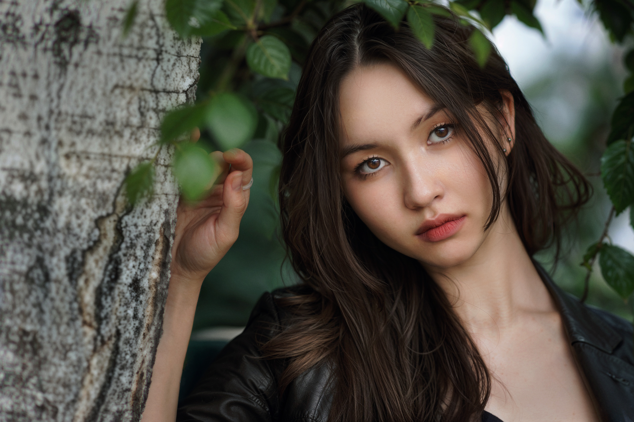 , Лыткин Денис