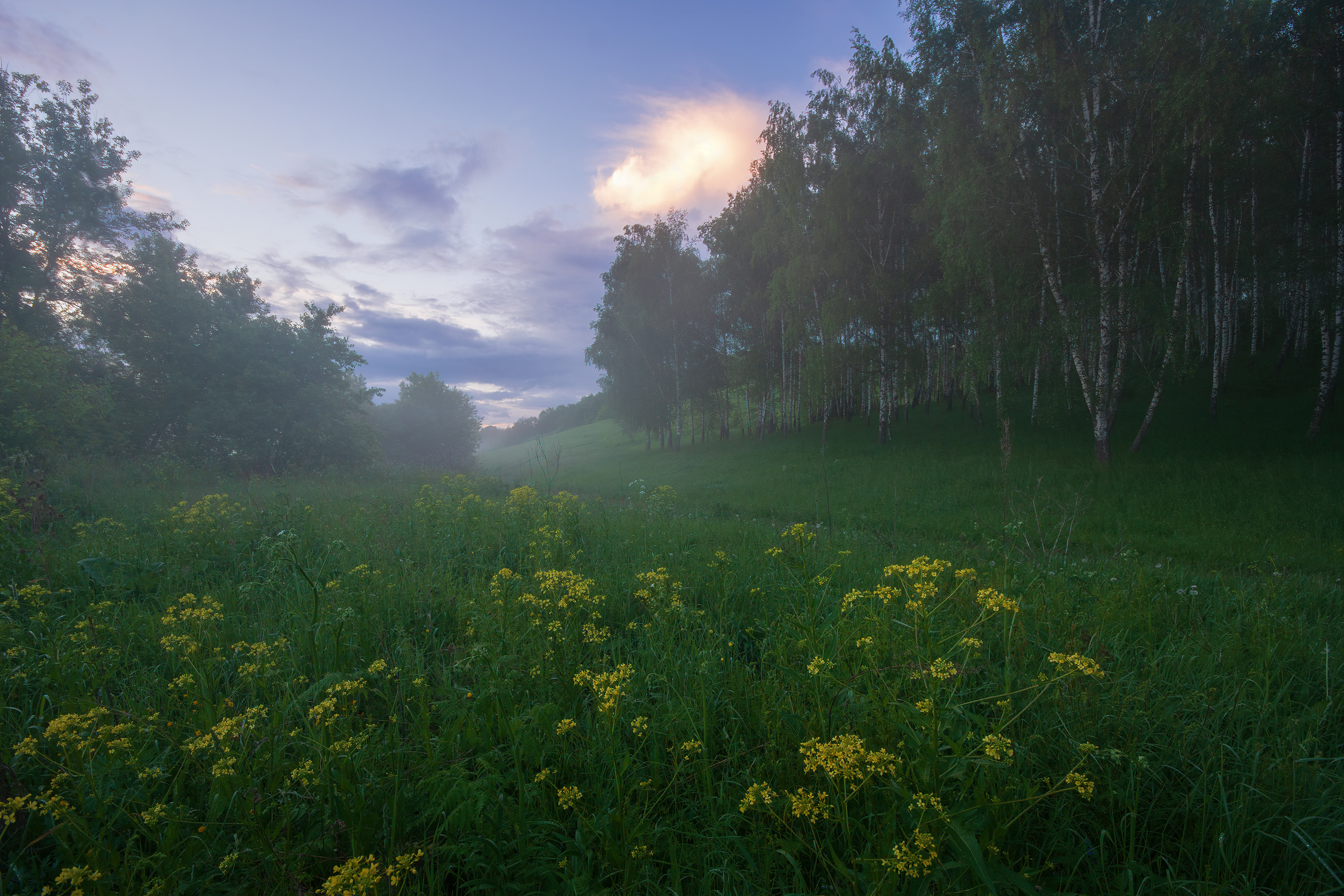 , Павел Абакумов