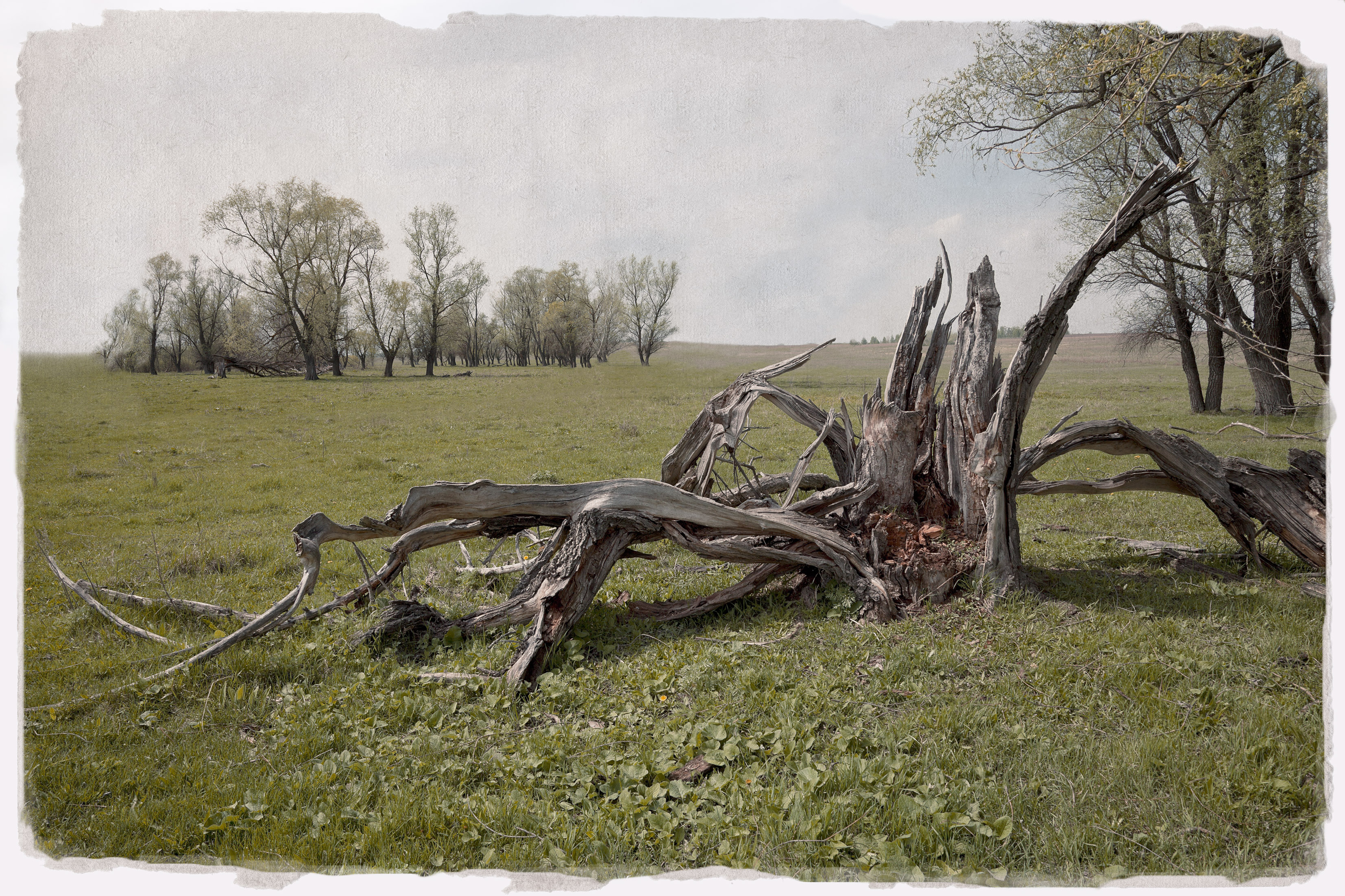 лето, Виктор Кириллов