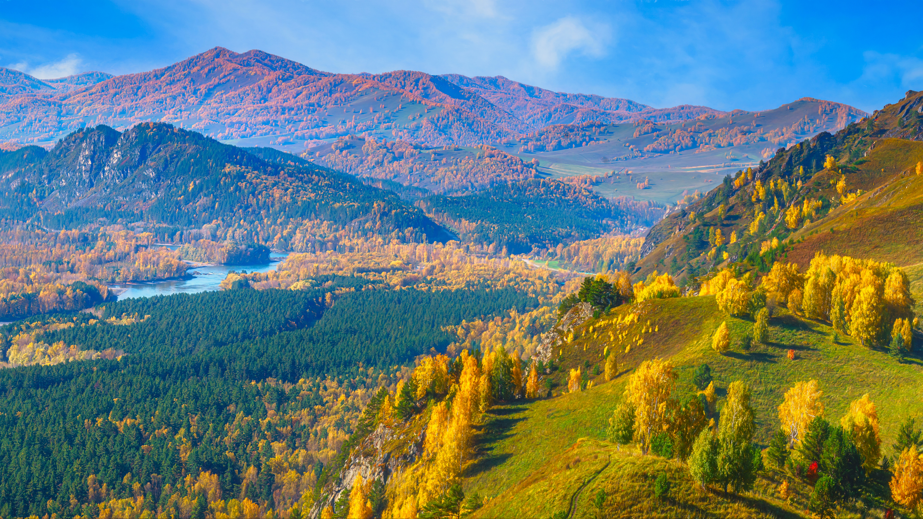 , Шварцман Евгений