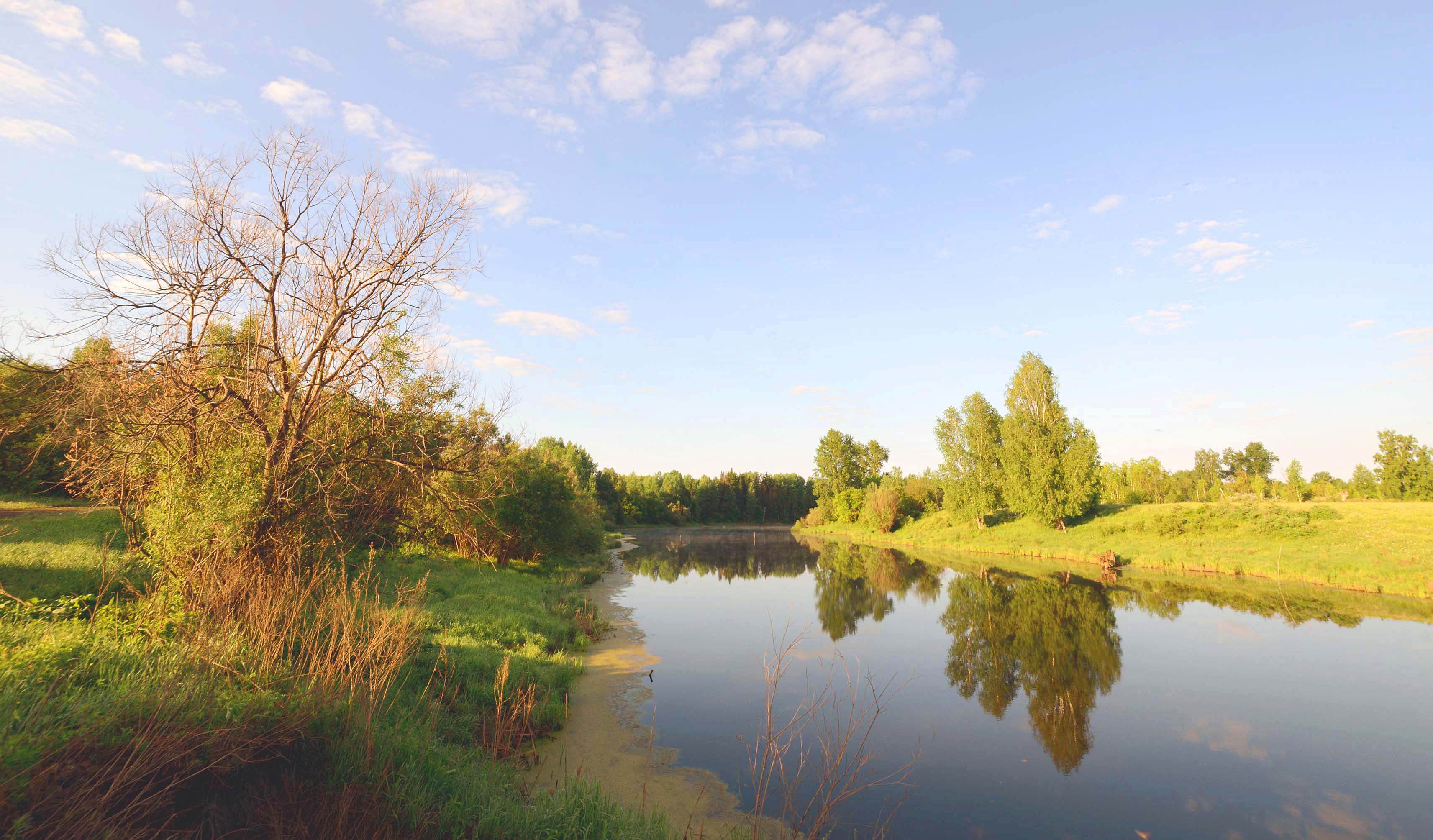 , Белоусов Михаил