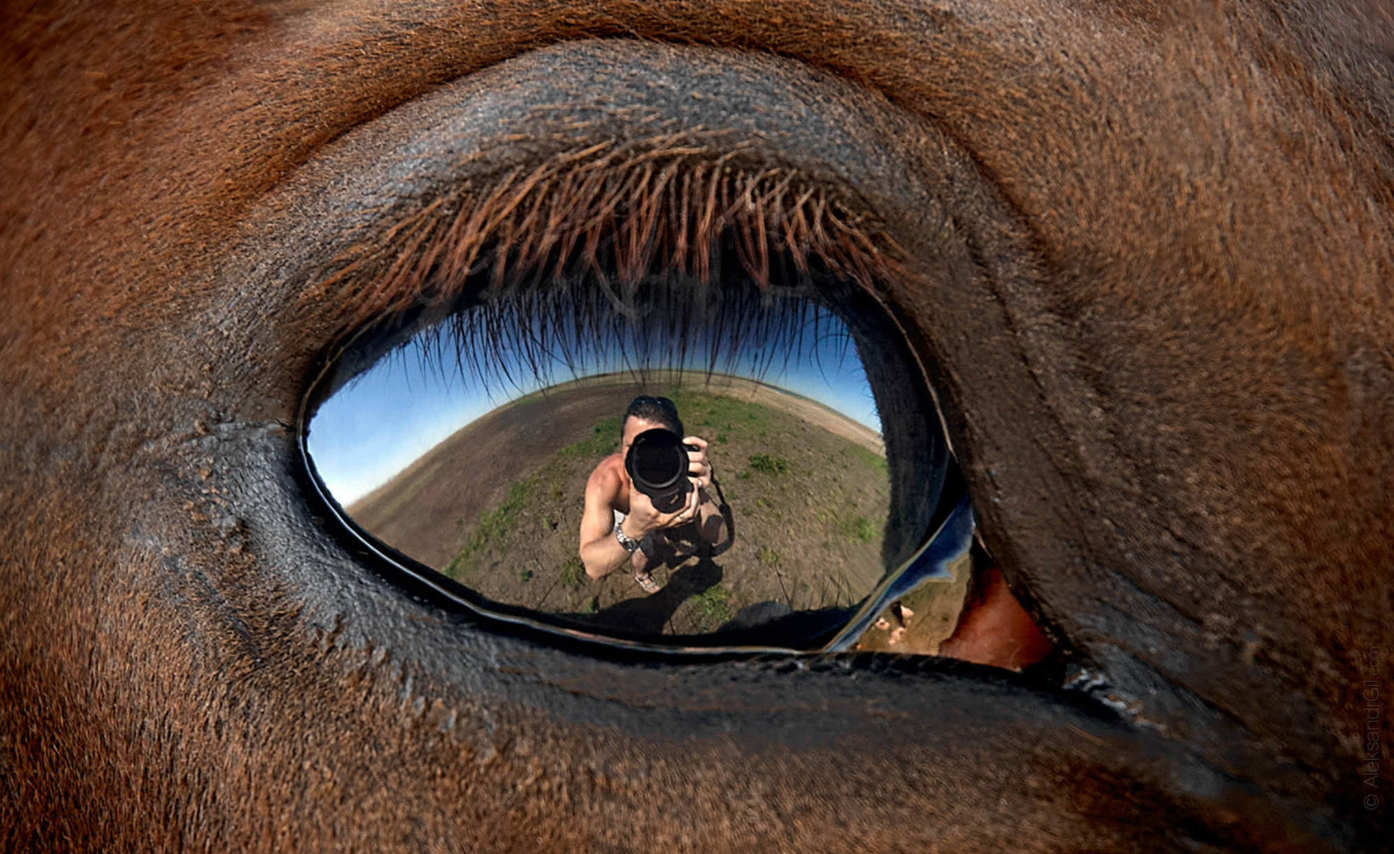 , Гиль Александр