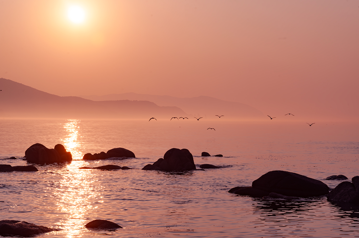 , Васильева Дарья