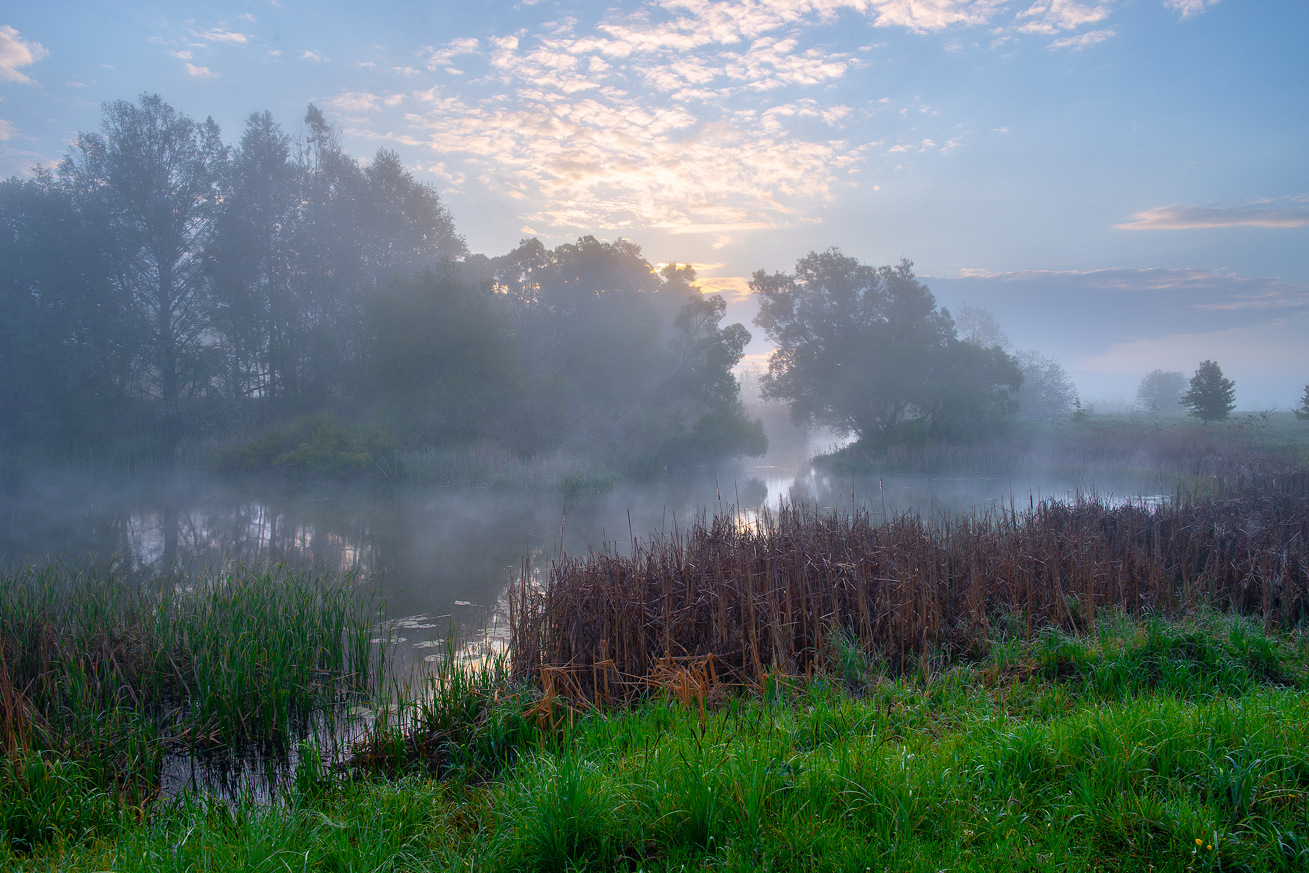 , Роман Игнатьев