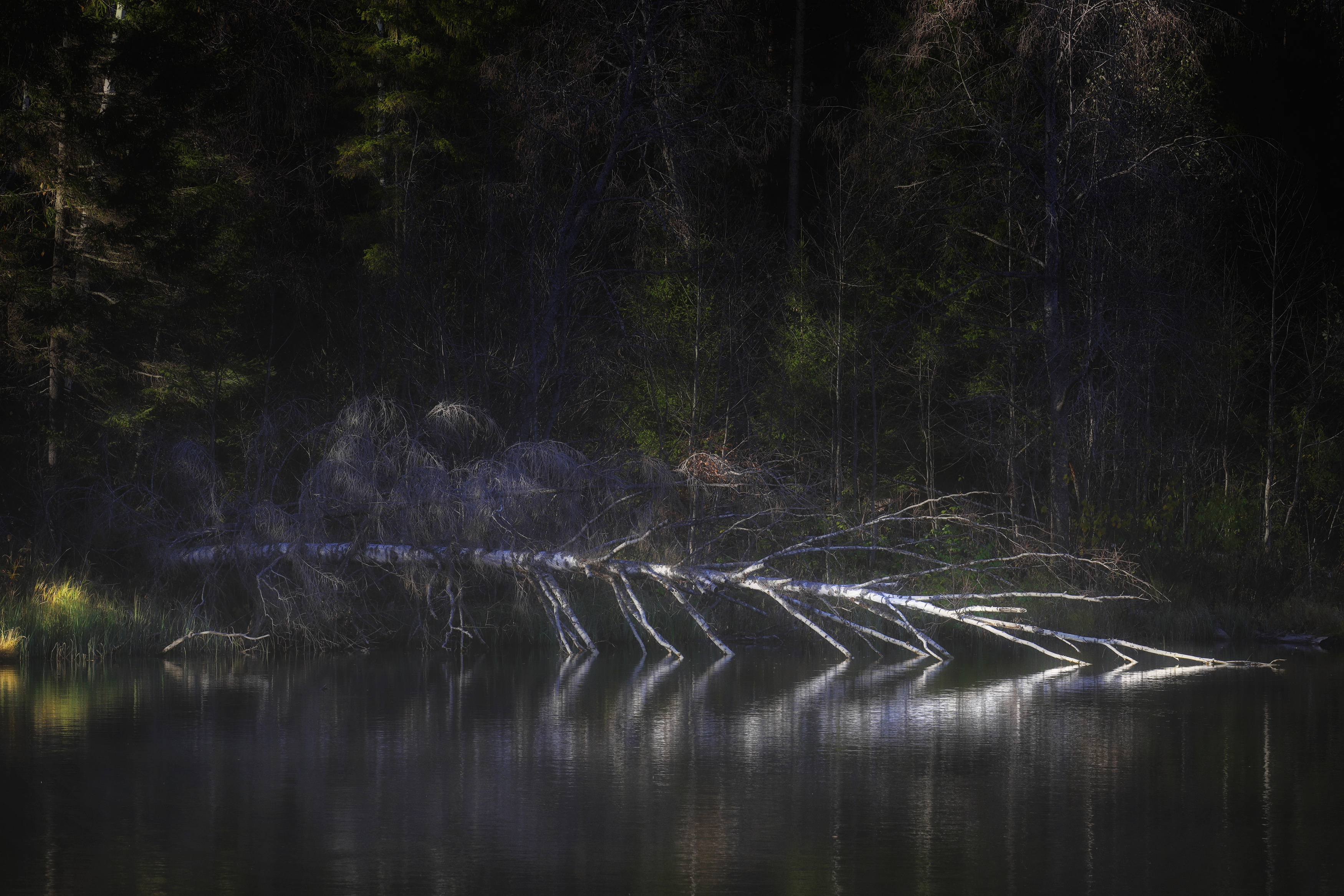 , Павел Мартюшев