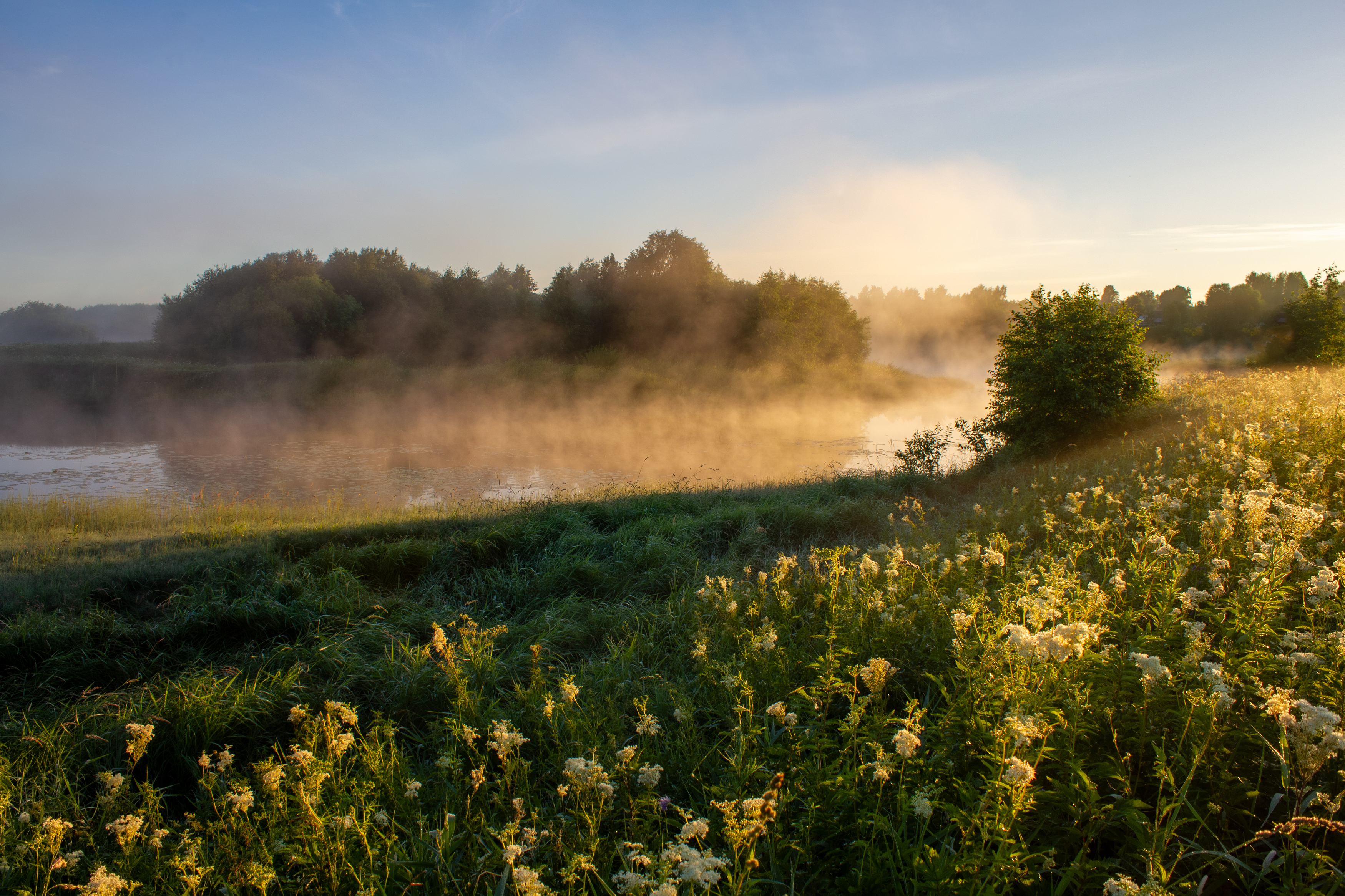, Комарова Вера