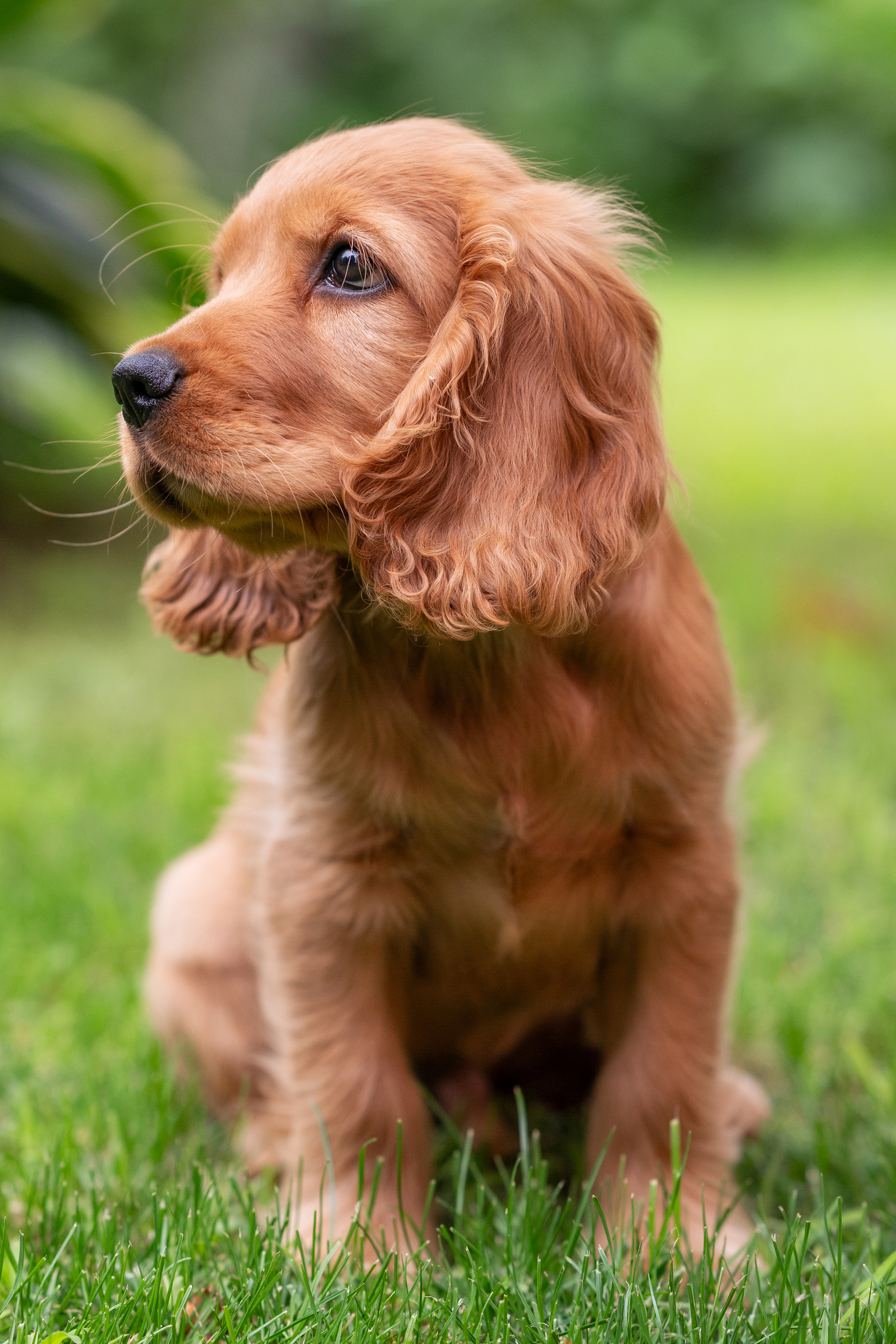 , Сергей Тихомиров