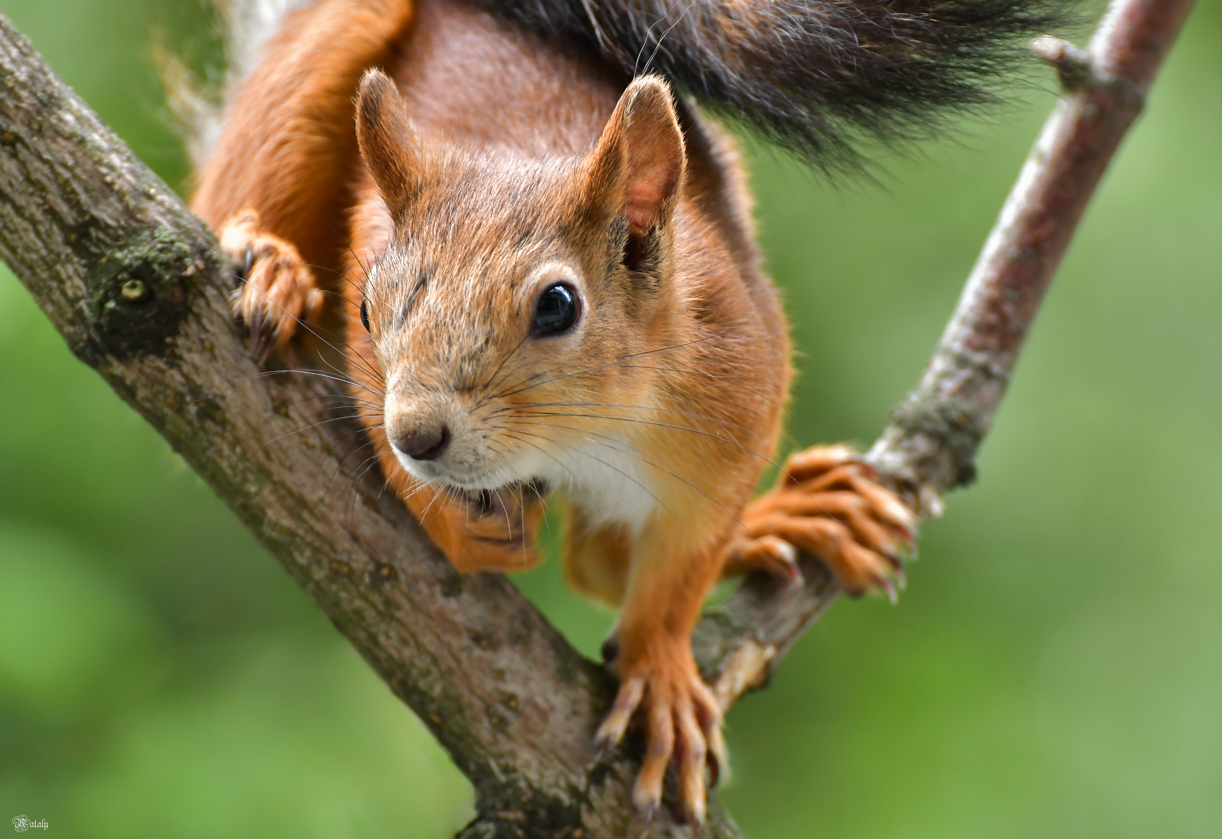 , Наталья Екимова
