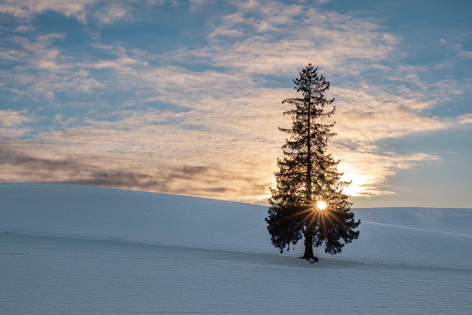 , Vorobeychik Vladimir