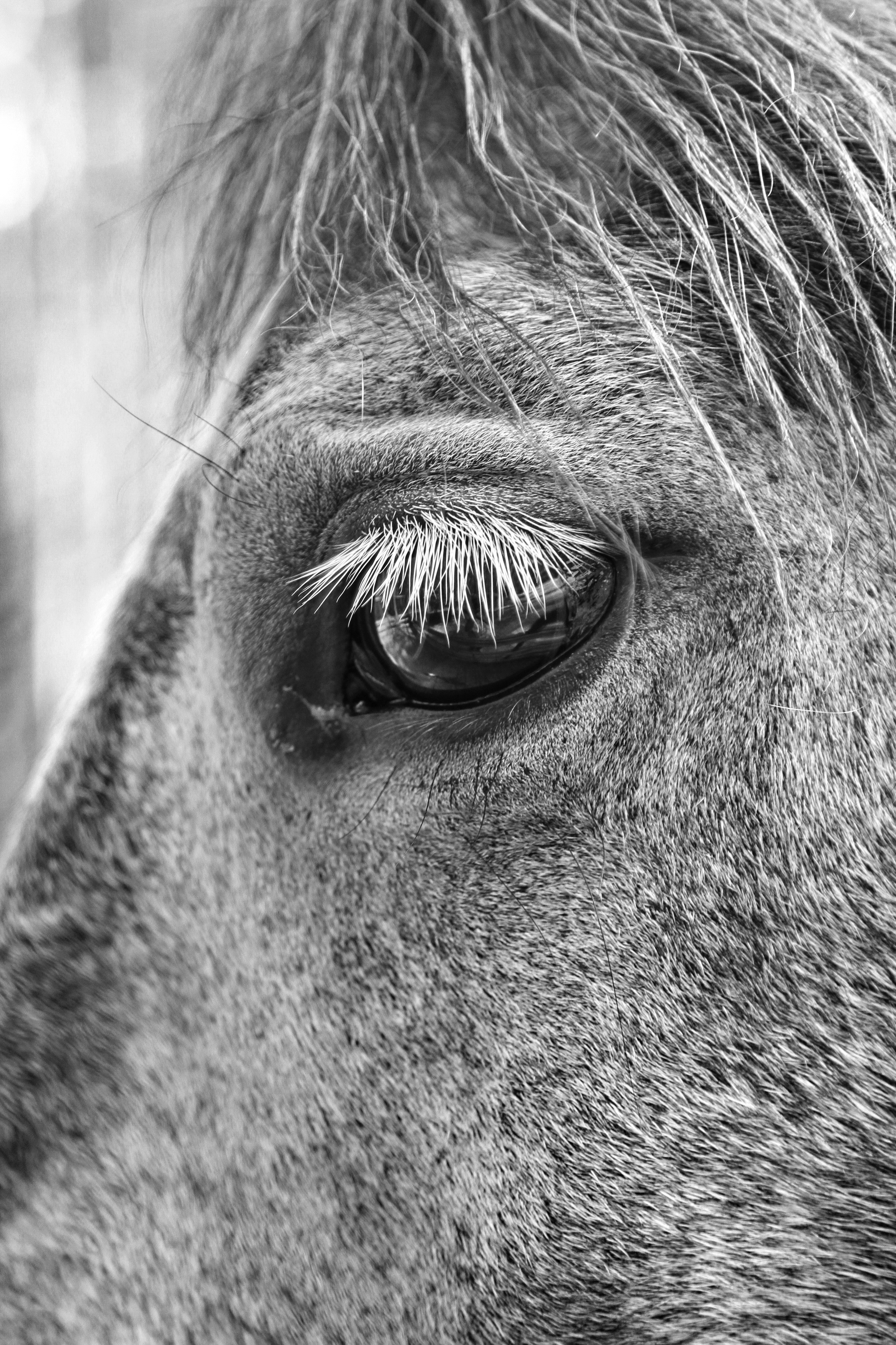 , Гагик Мхитарян