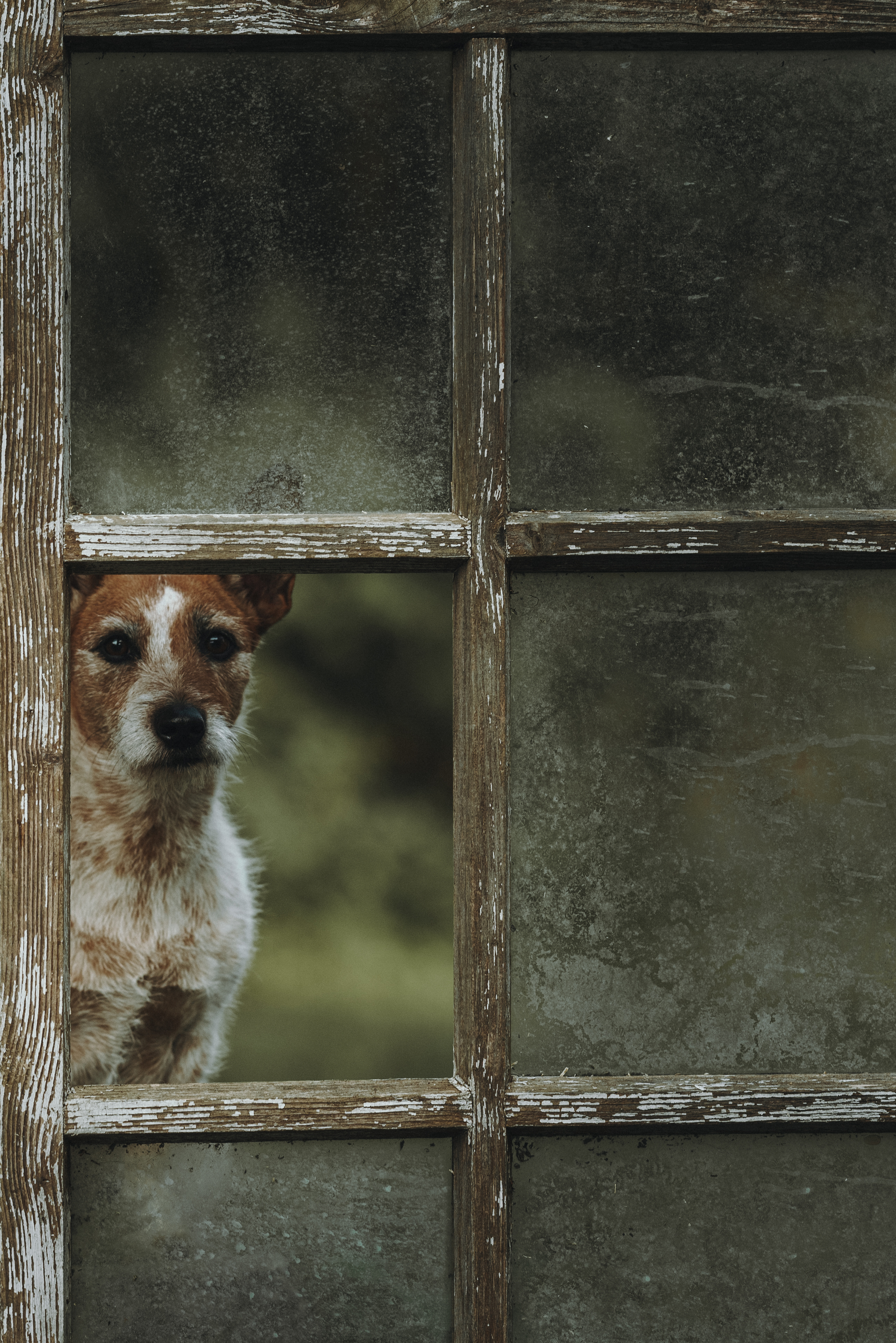 , Мороз Ирина