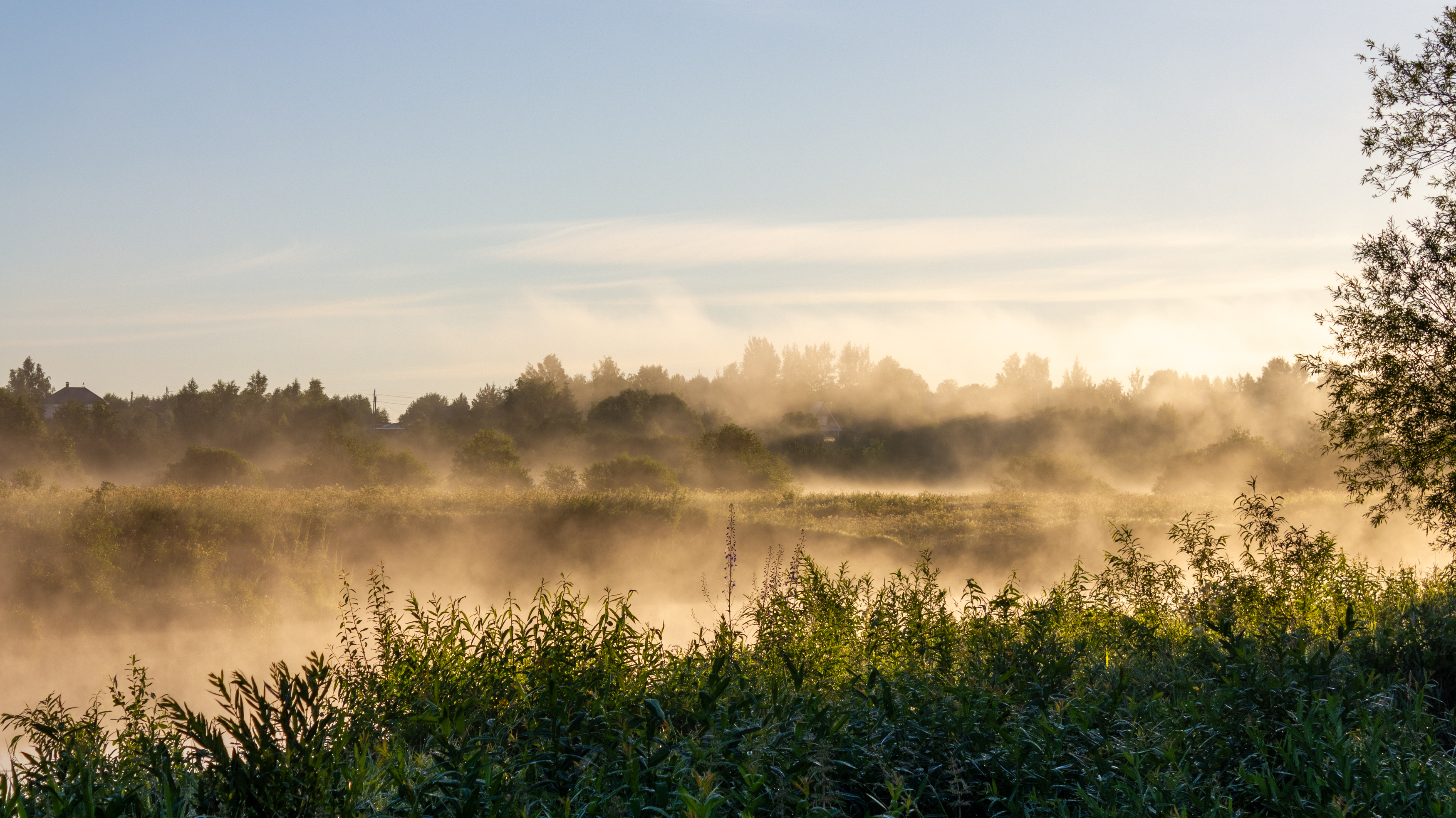 , Комарова Вера