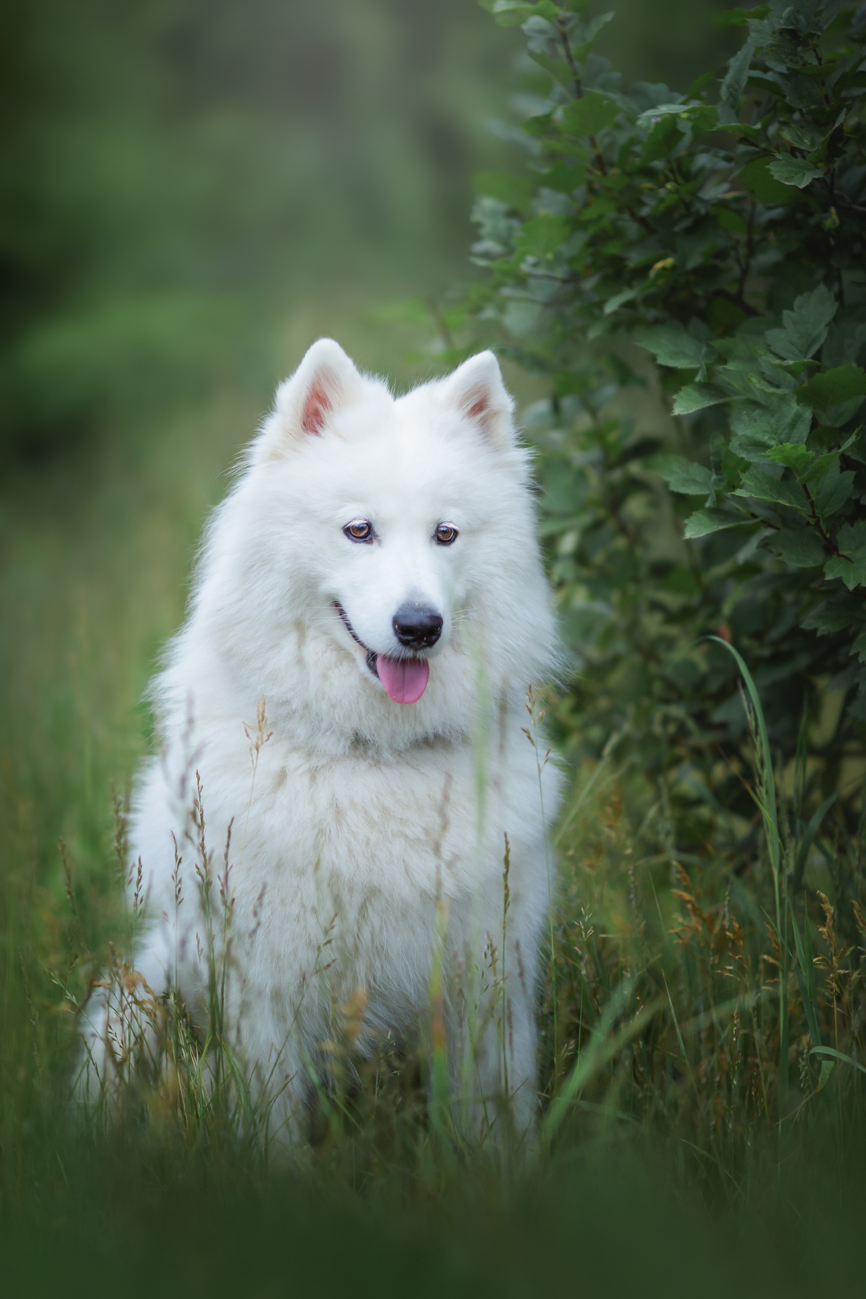 , Наталия Матвеева