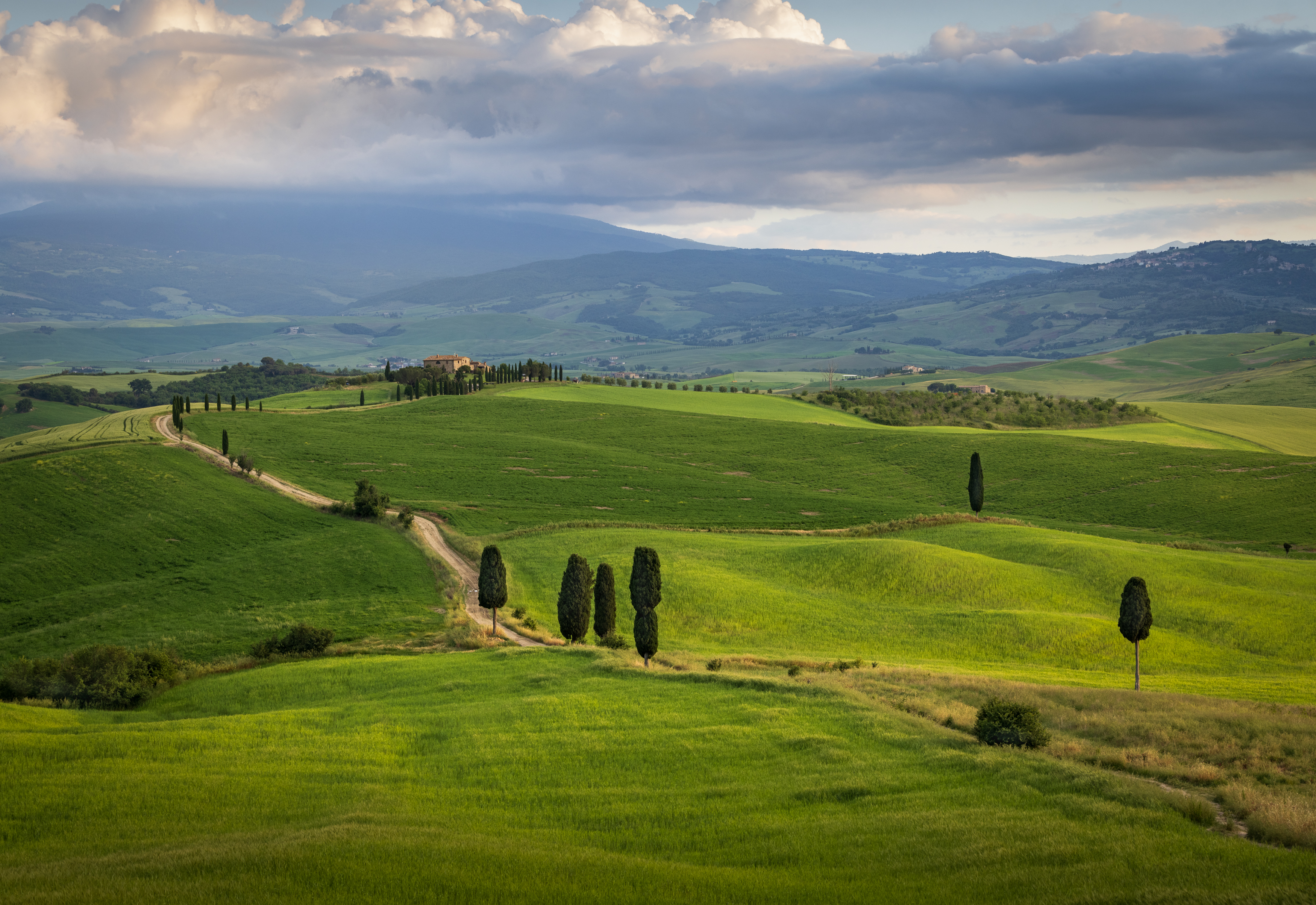 , Алекс Римский